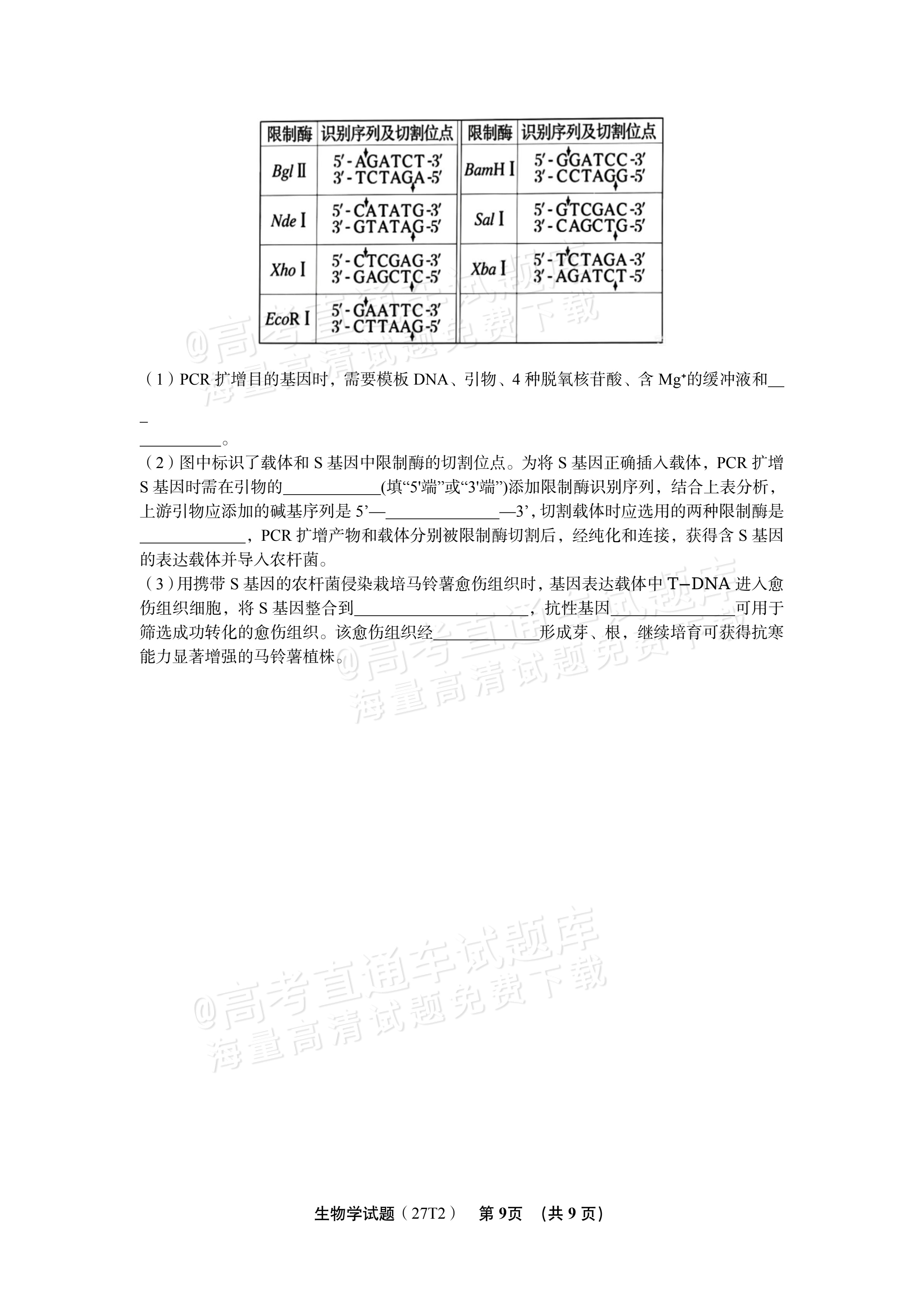 2027湖南省湖南师范大学附属中学高三月考卷(二)(27T）生物试题 第9页