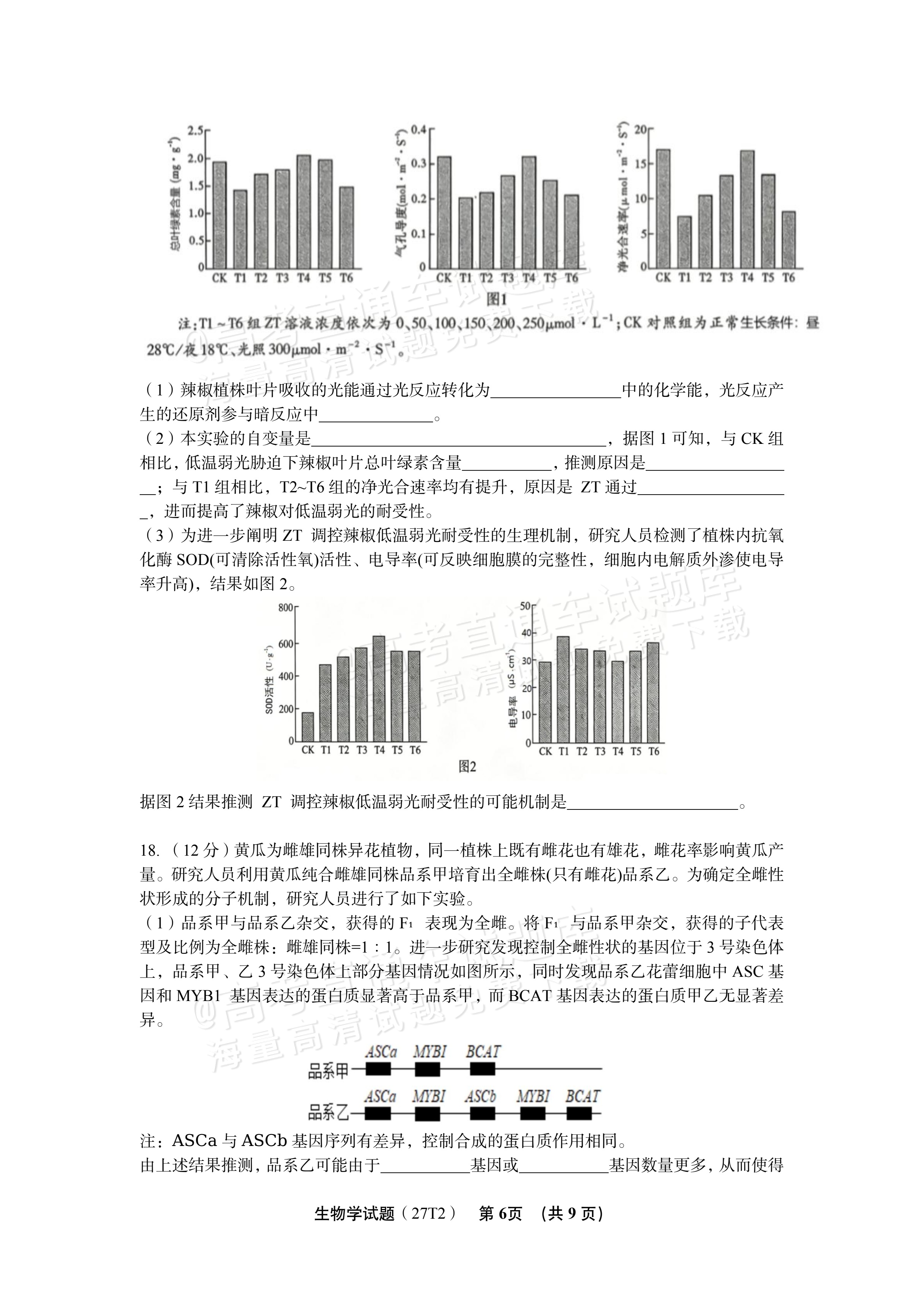 2027湖南省湖南师范大学附属中学高三月考卷(二)(27T）生物试题 第6页