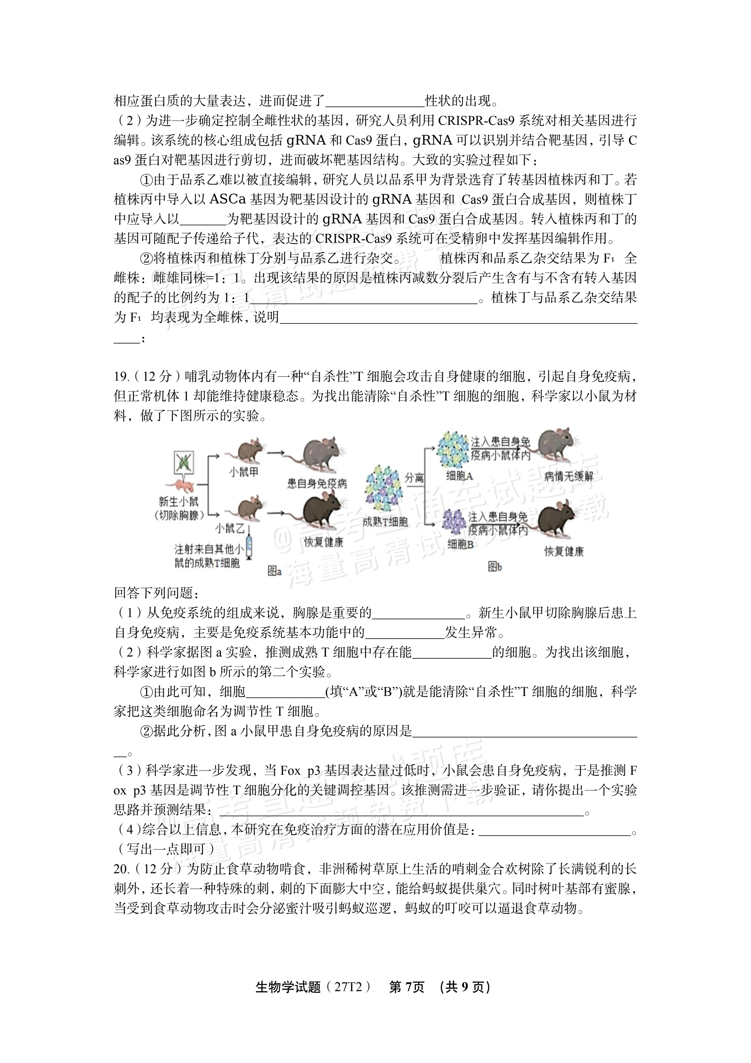2027湖南省湖南师范大学附属中学高三月考卷(二)(27T）生物试题 第7页