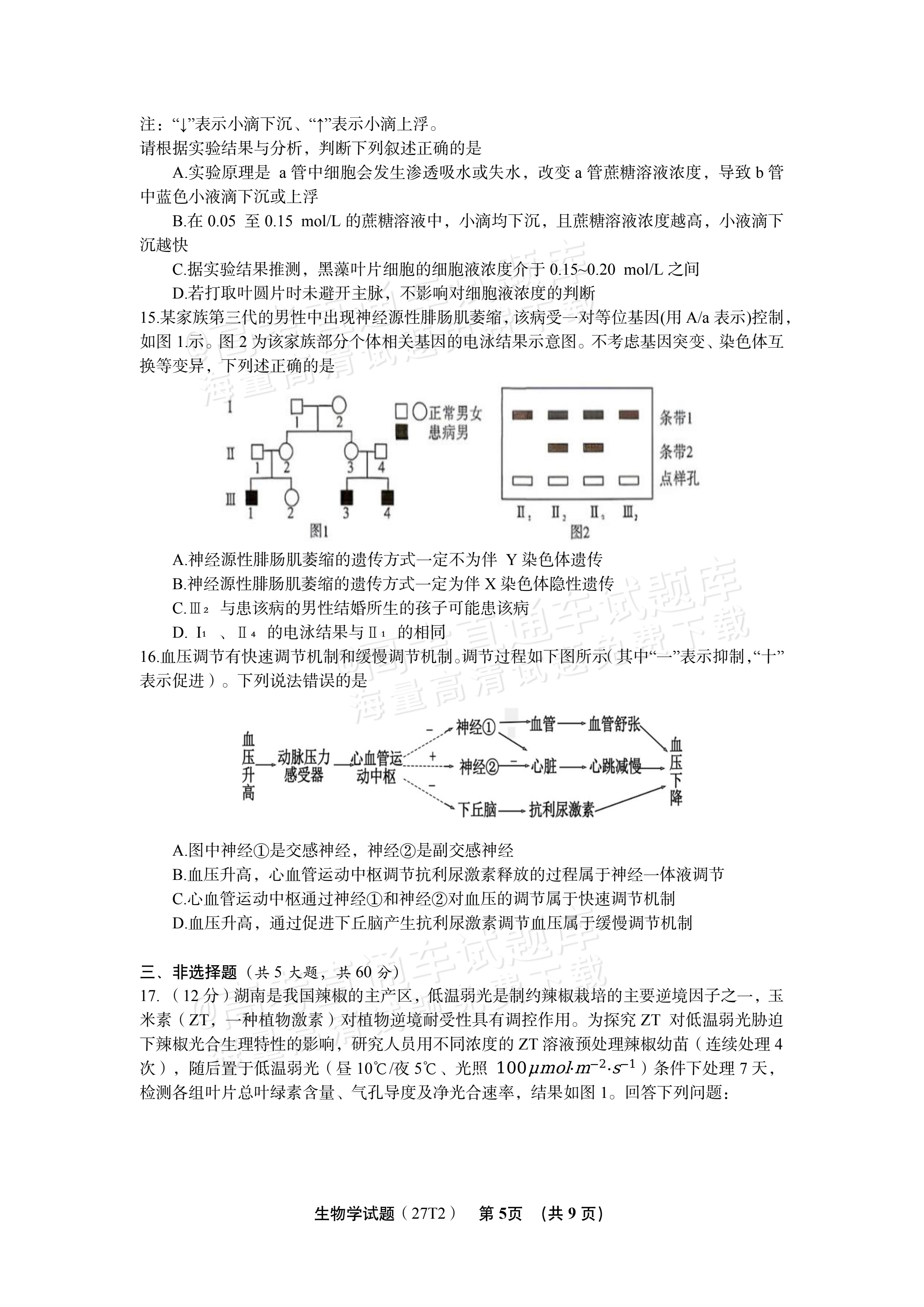2027湖南省湖南师范大学附属中学高三月考卷(二)(27T）生物试题 第5页