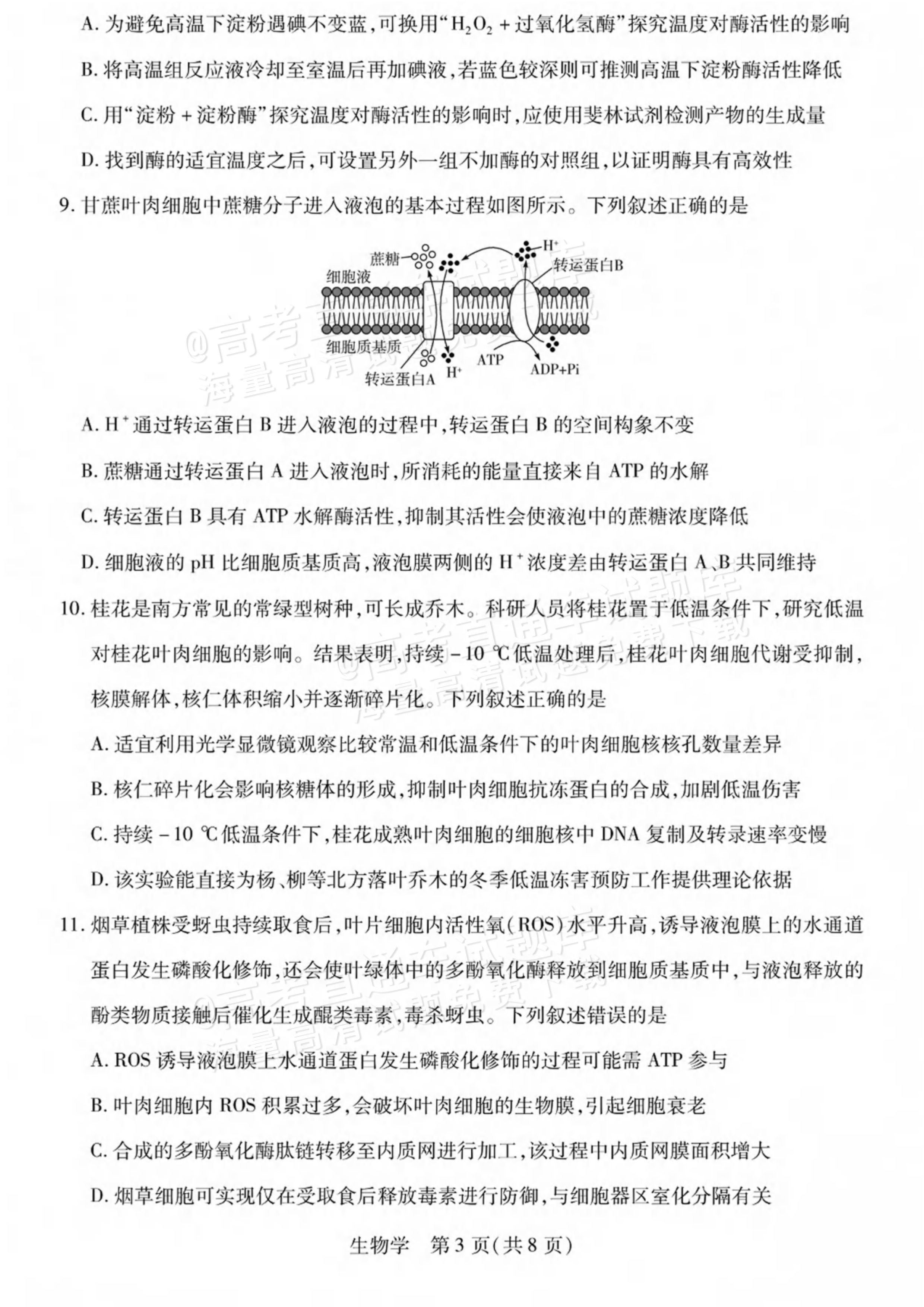 2027陕西、山西省部分学校高三10月联考生物试题及参考答案 第3页