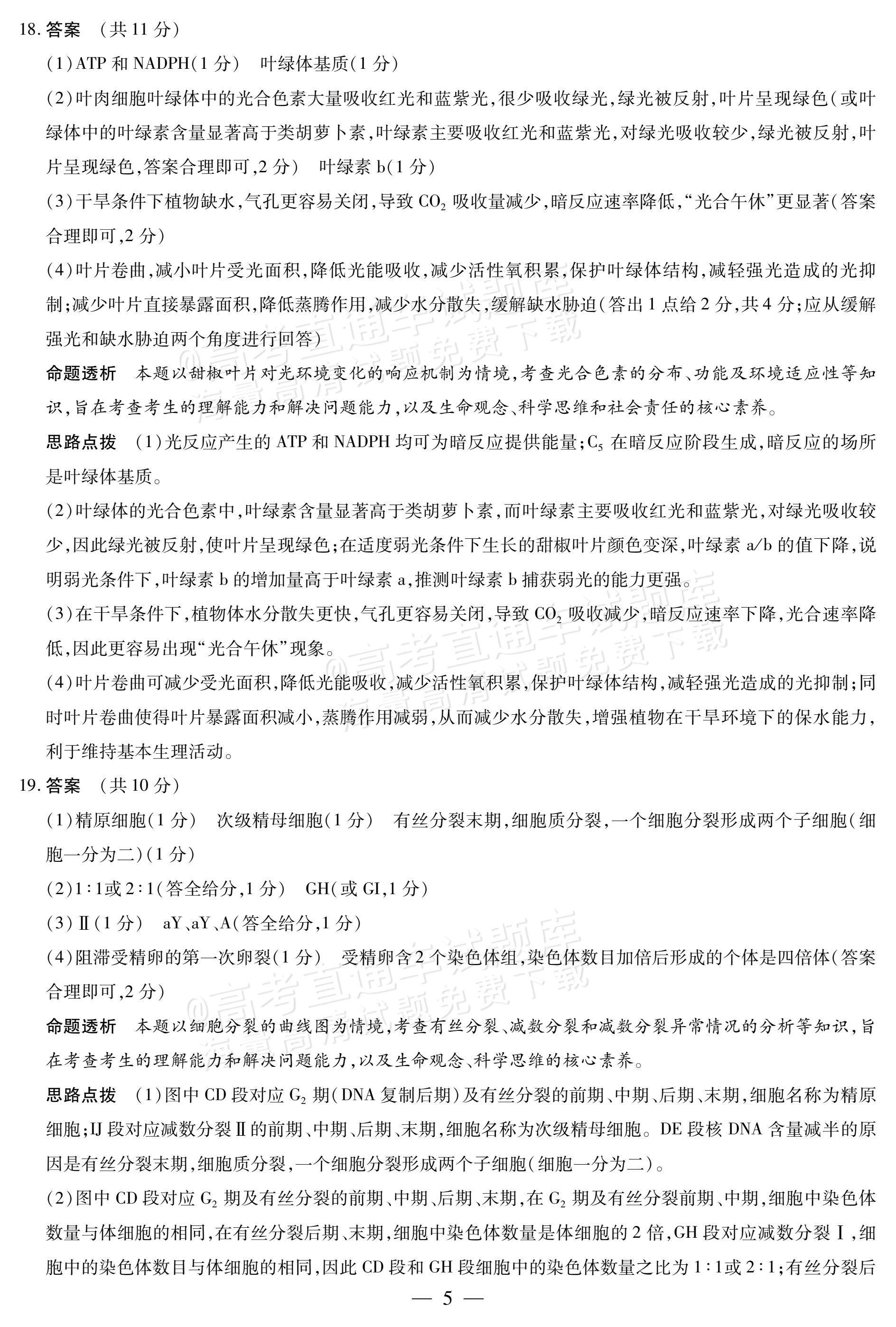 2027陕西、山西省部分学校高三10月联考生物试题及参考答案 答案 第5页