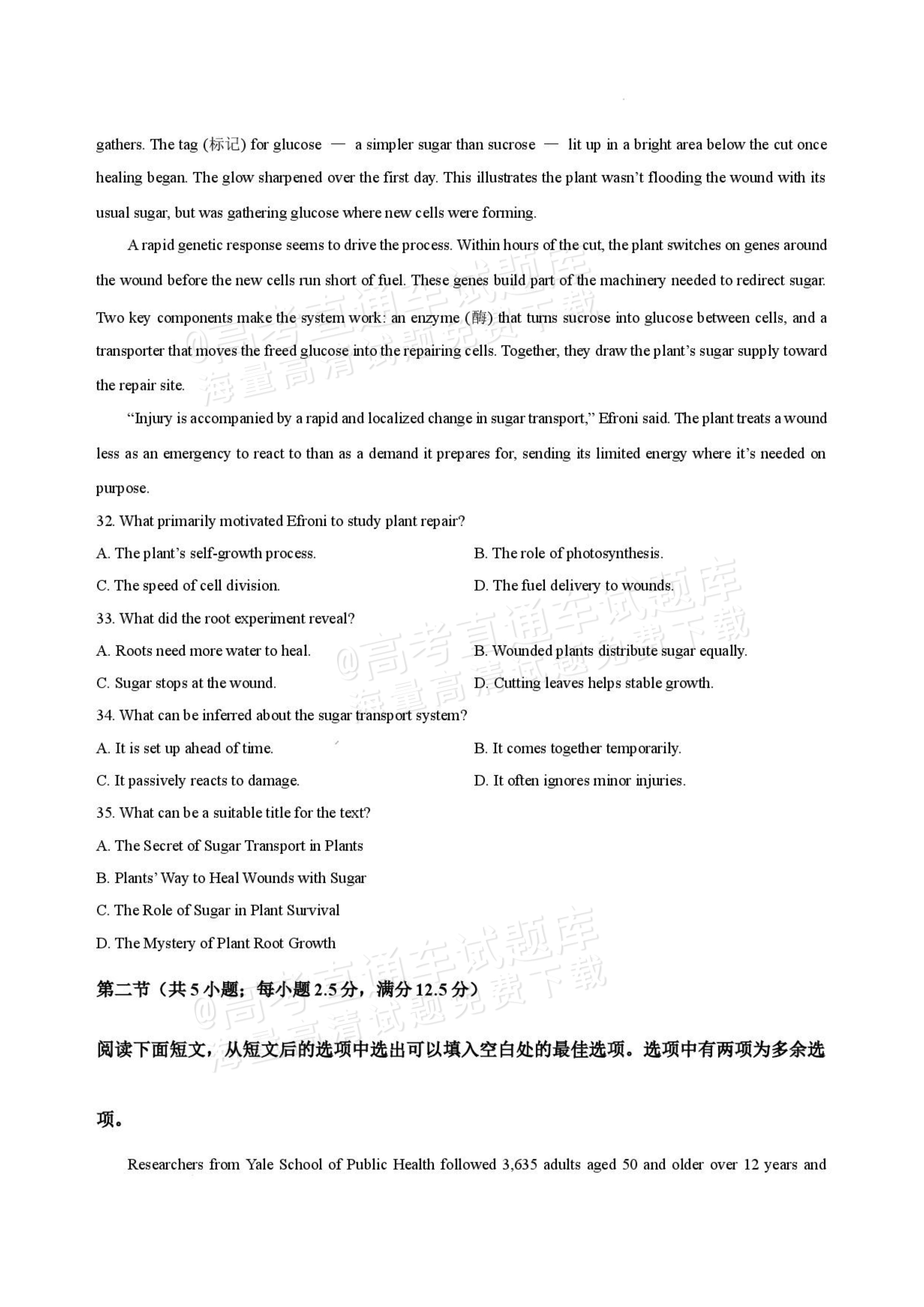 2027九师联盟高三10月联考（9/2X-G）英语试题及参考答案 第8页