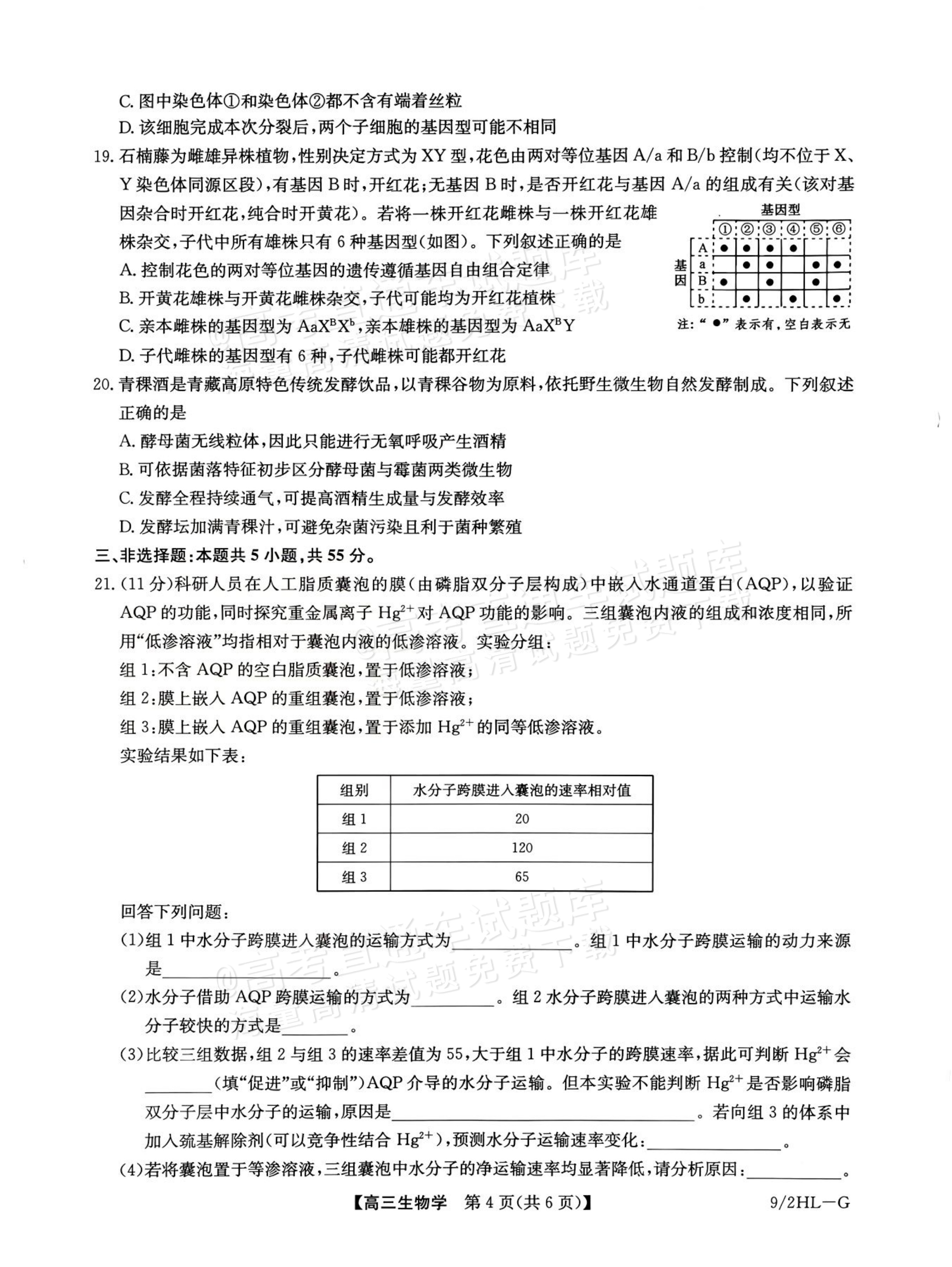 2027九师联盟高三10月联考（9/2X-G）生物试题及参考答案 第4页