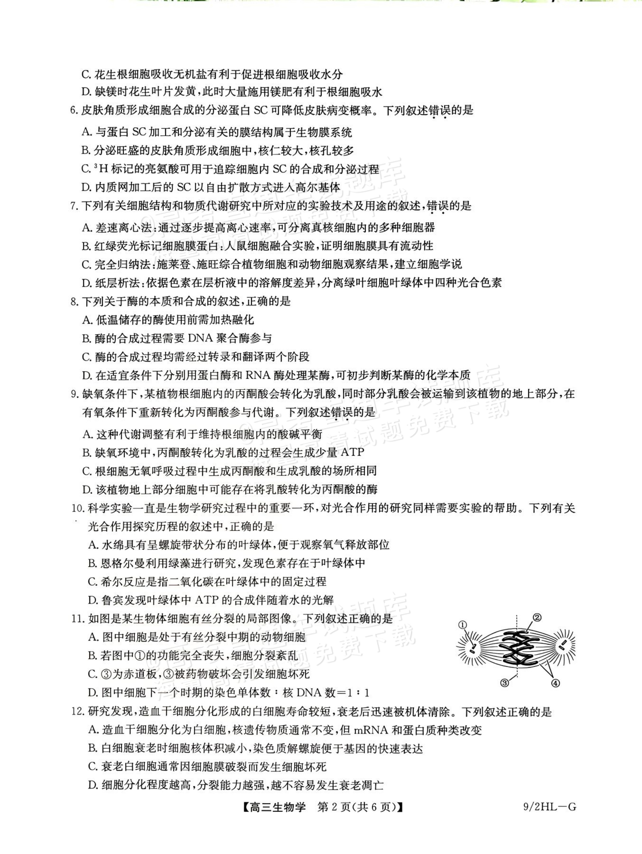 2027九师联盟高三10月联考（9/2X-G）生物试题及参考答案 第2页