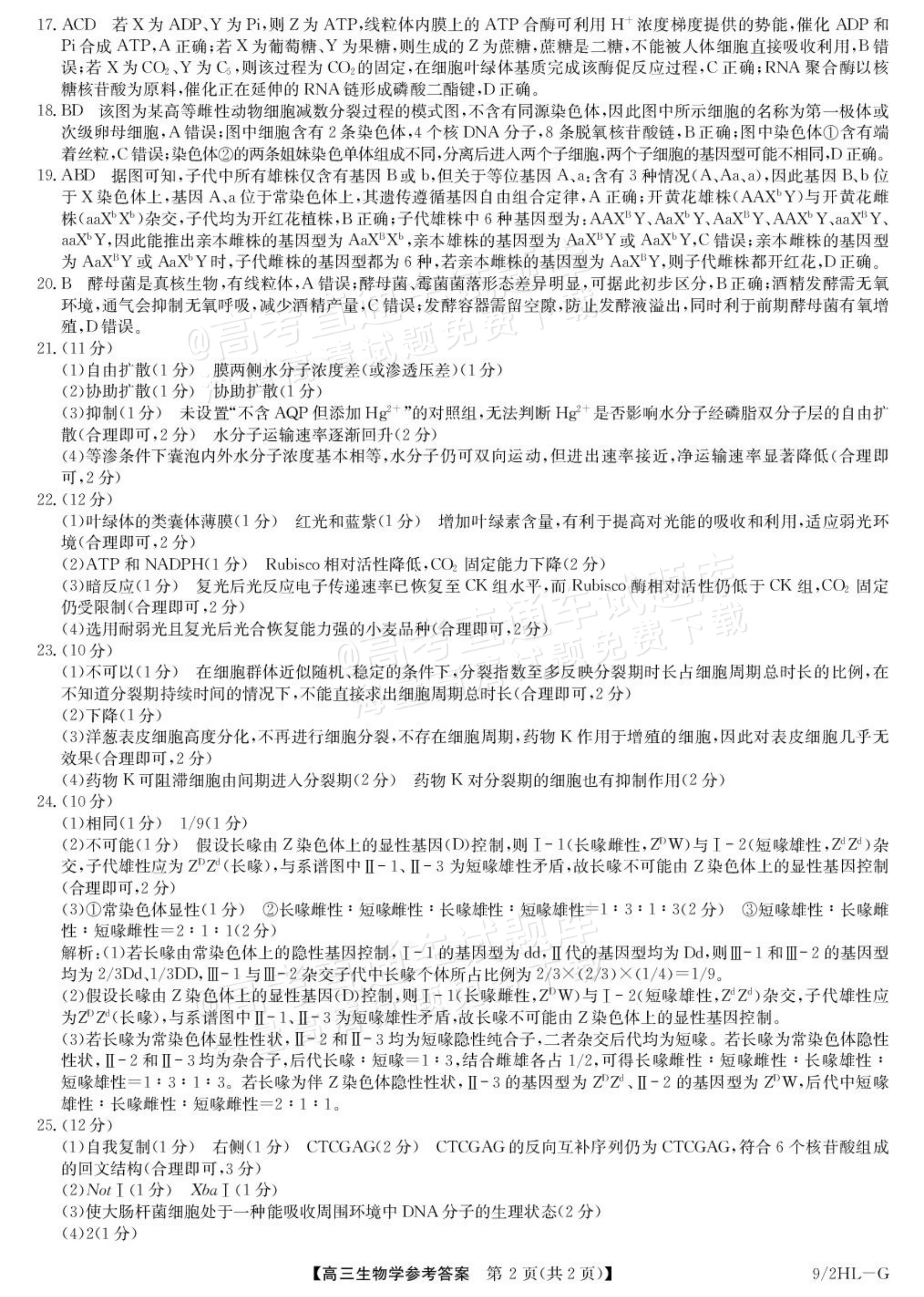 2027九师联盟高三10月联考（9/2X-G）生物试题及参考答案 答案 第2页