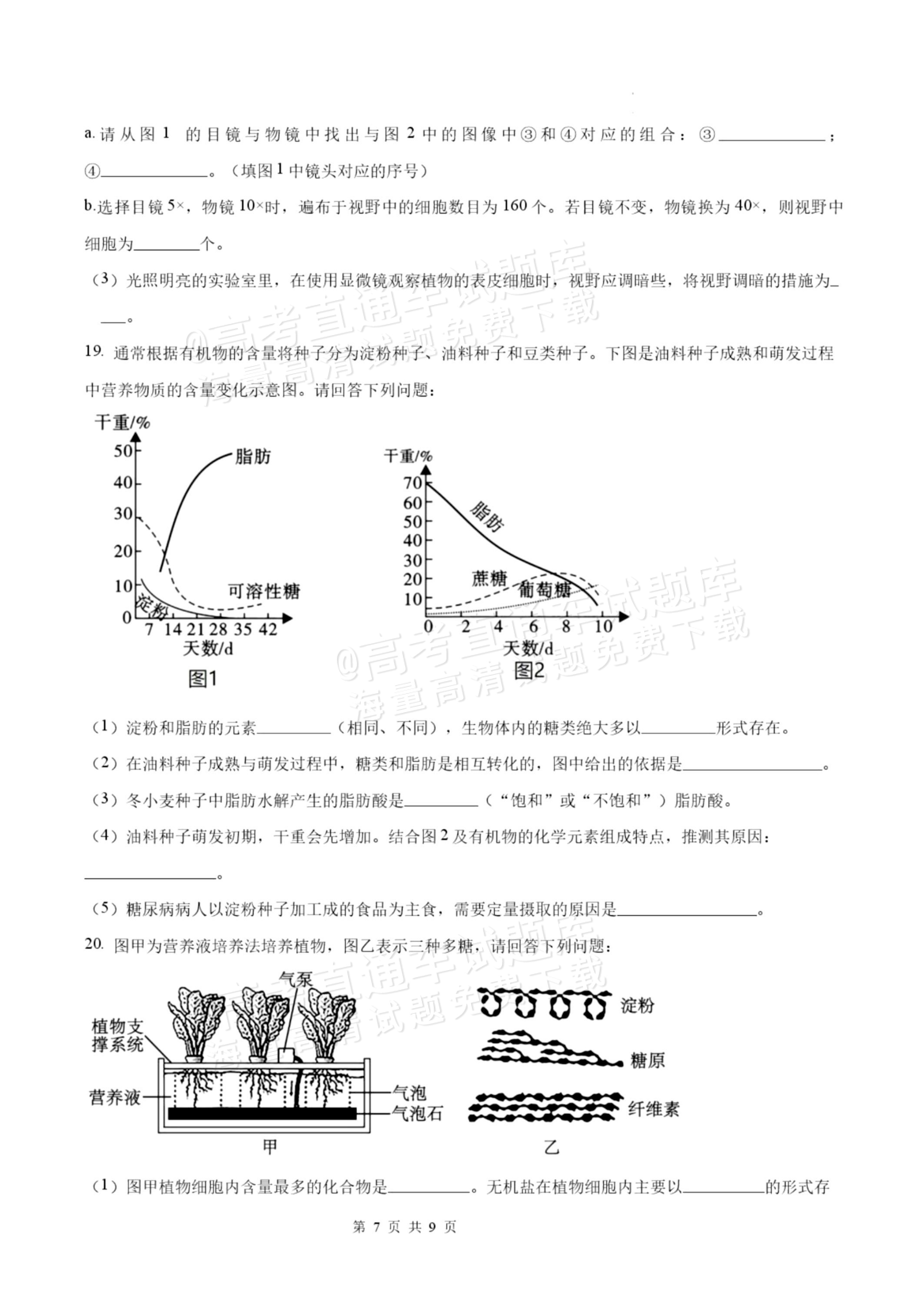 2027揭阳惠来县第一中学高一上第1次阶段考生物试题及参考答案 第7页