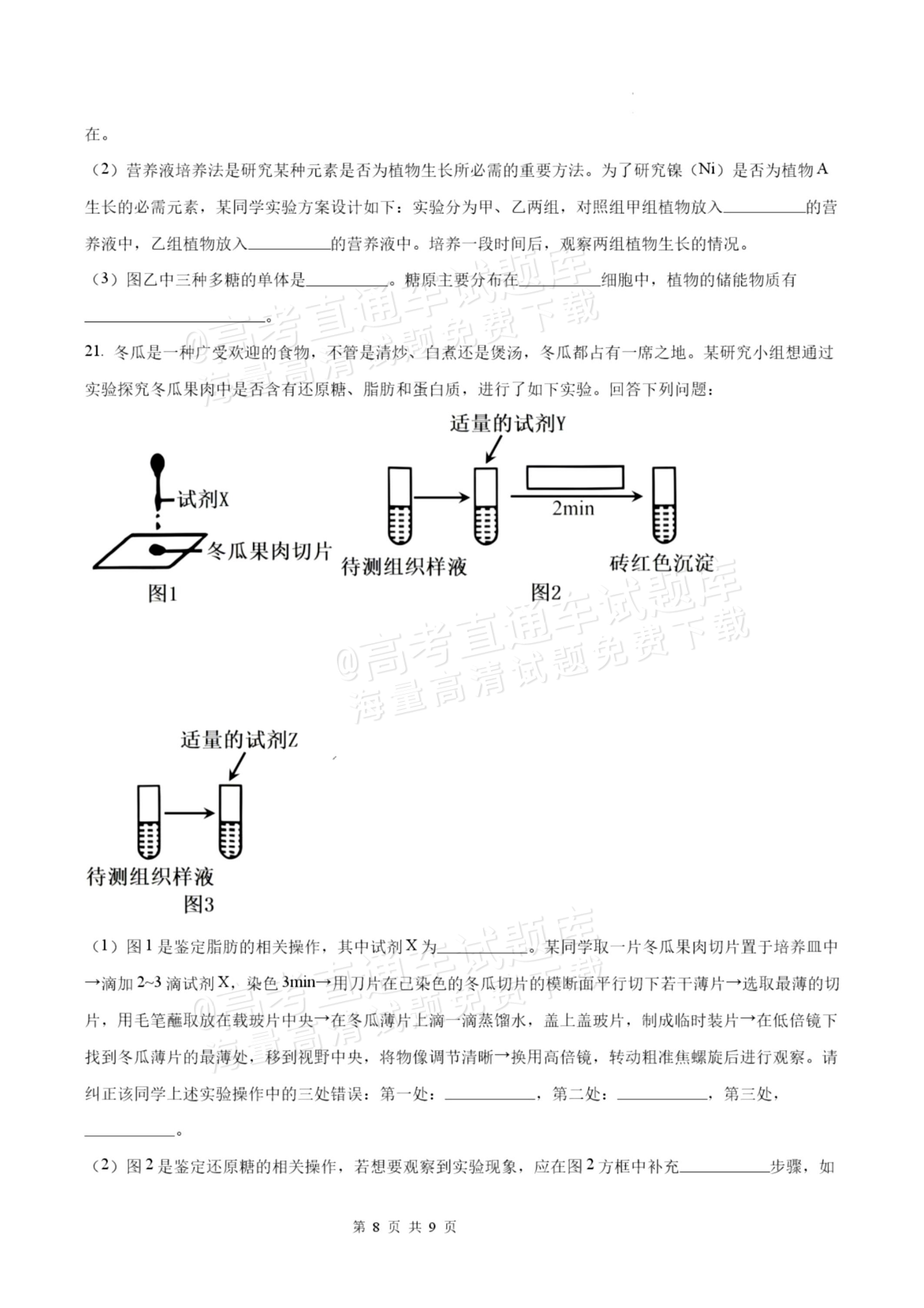 2027揭阳惠来县第一中学高一上第1次阶段考生物试题及参考答案 第8页