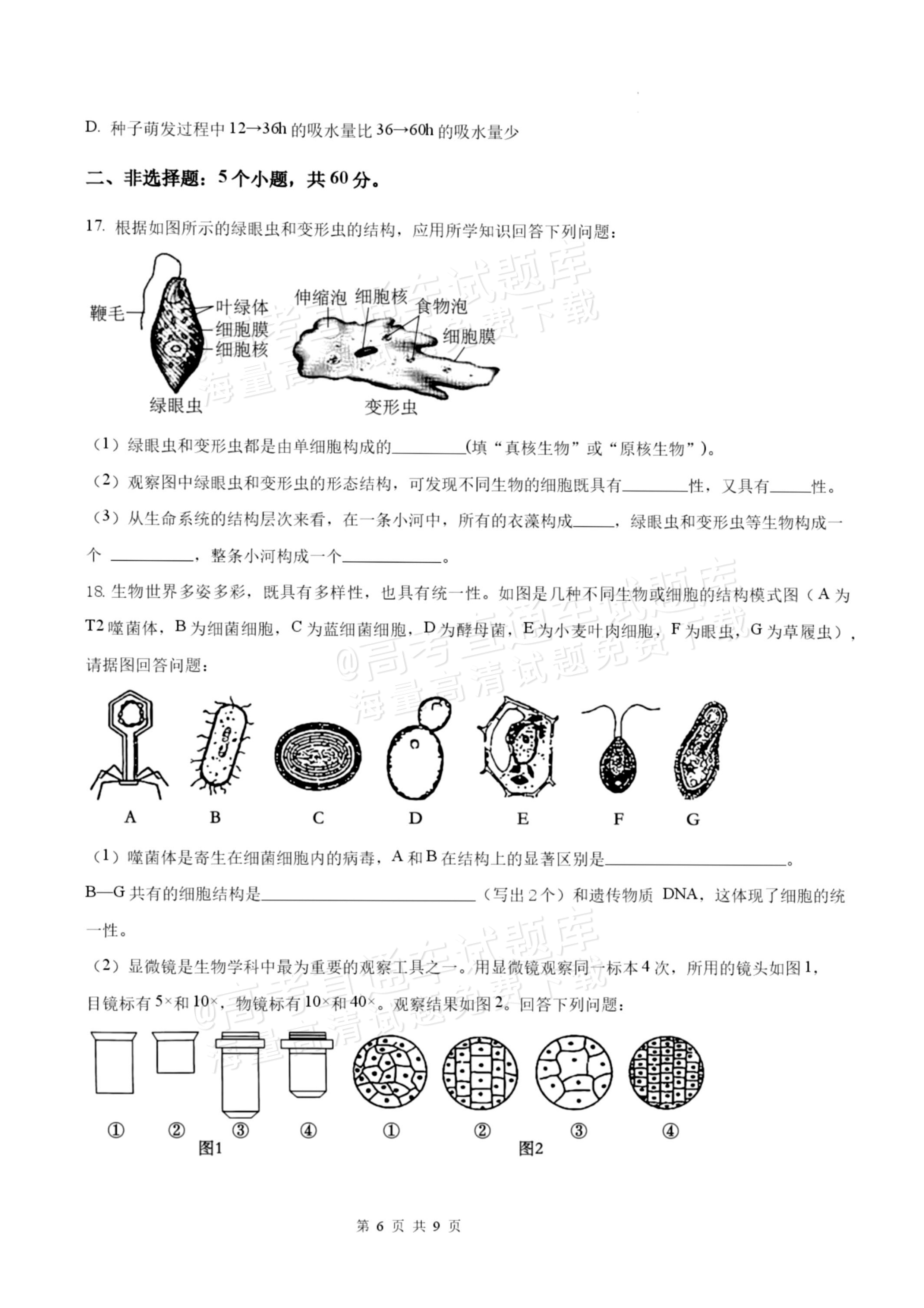 2027揭阳惠来县第一中学高一上第1次阶段考生物试题及参考答案 第6页