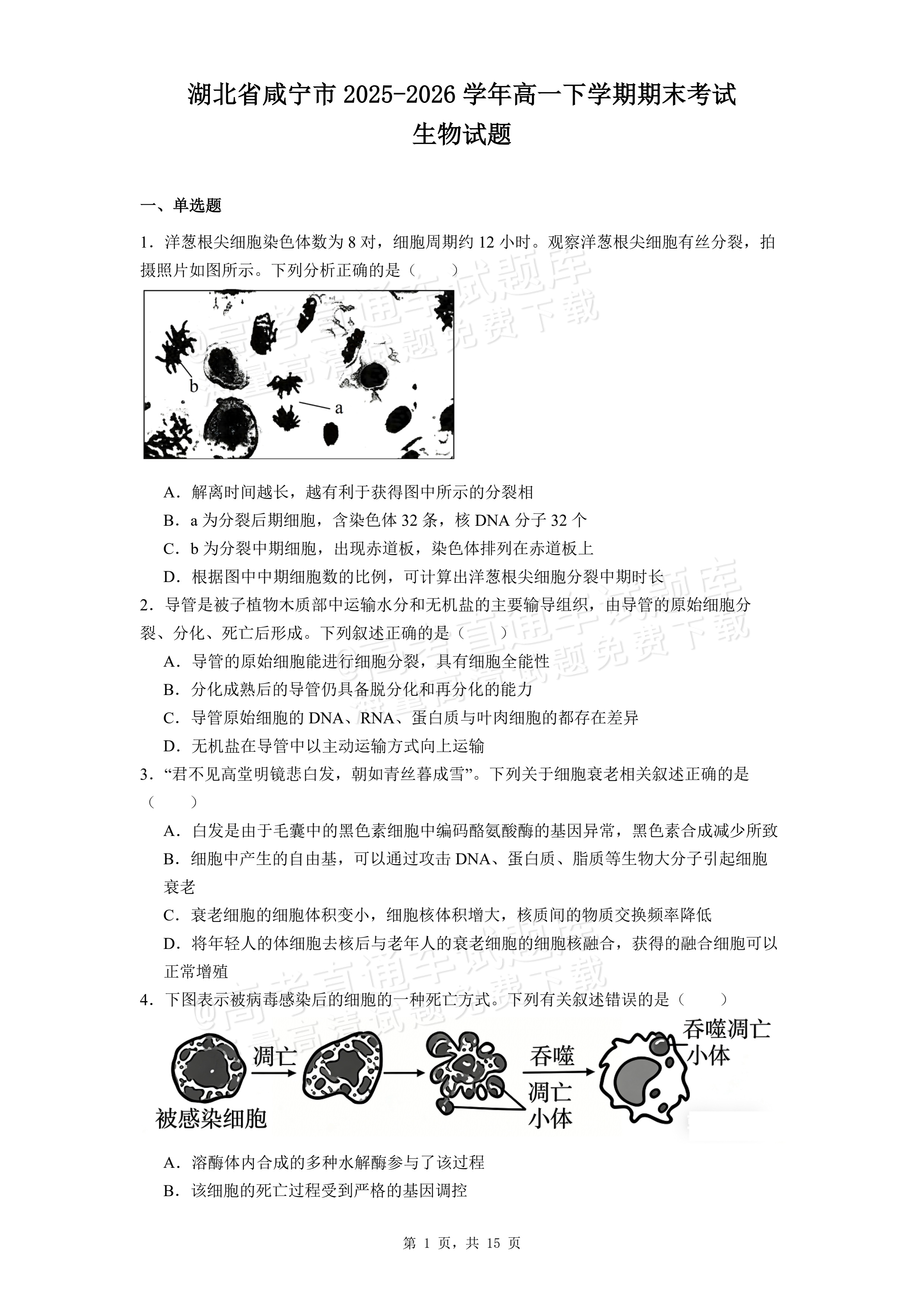 2026湖北咸宁高一下期末考生物试题及参考答案 第1页