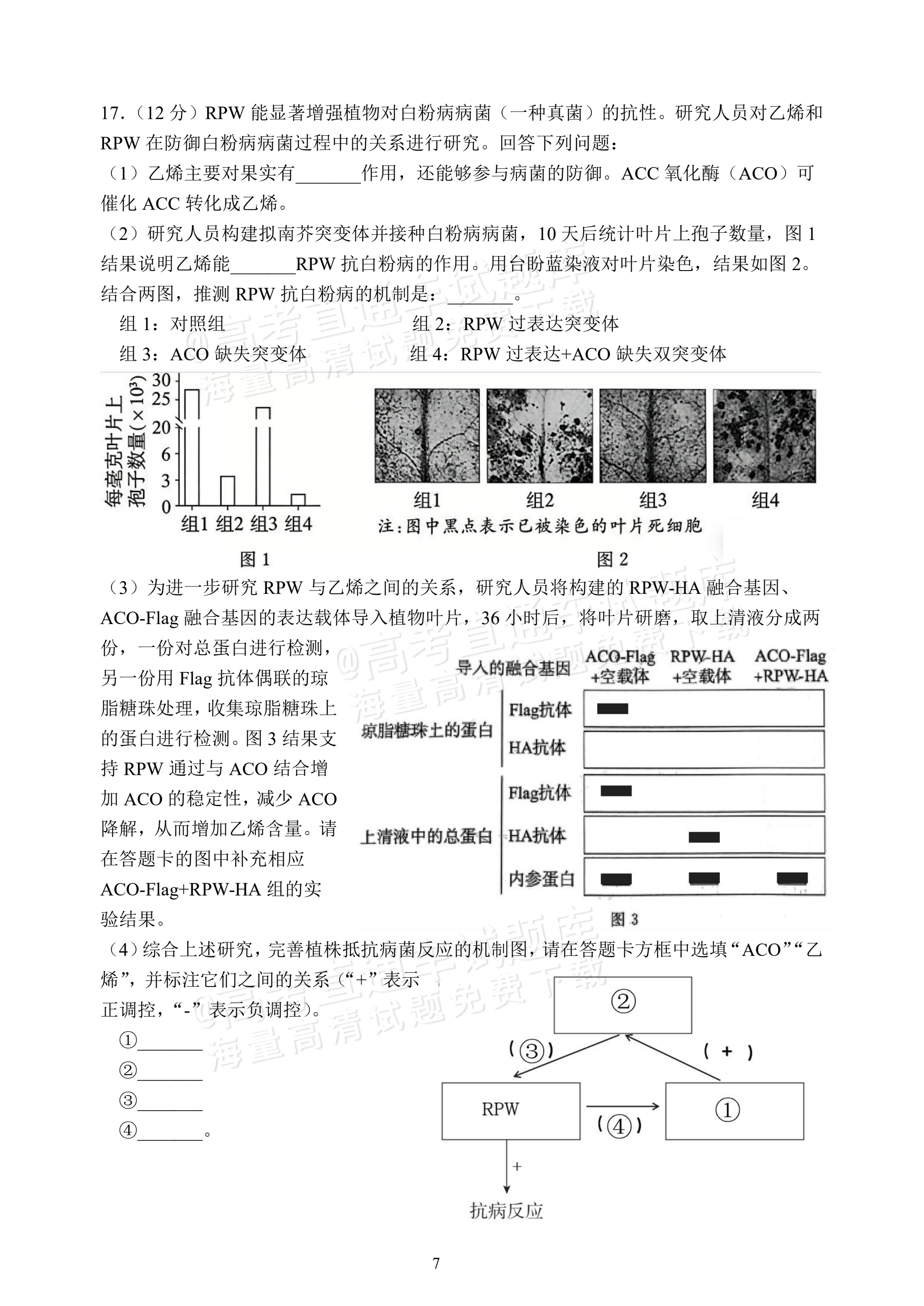 2027福建福州第一中学开学考生物试题 第7页