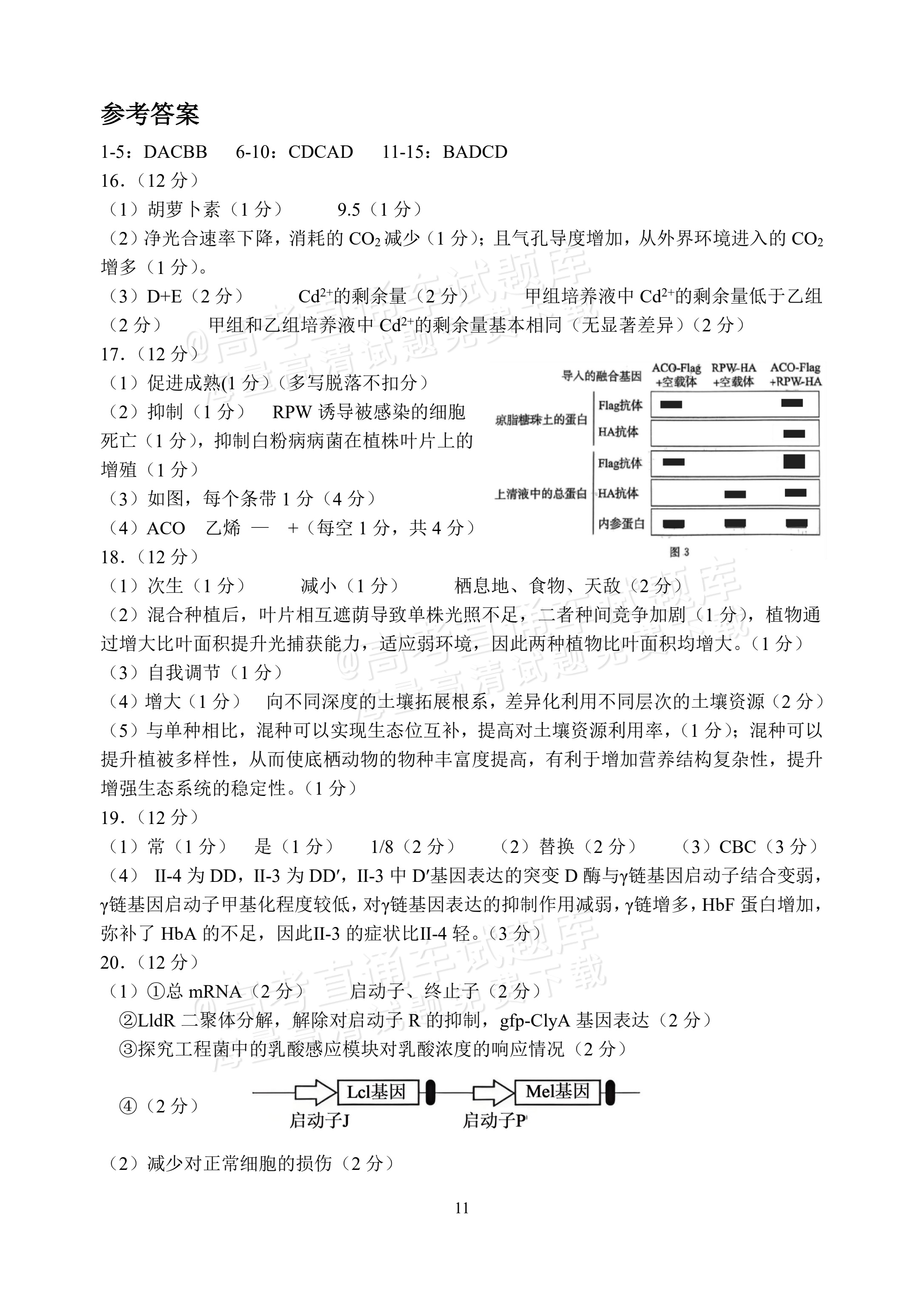 2027福建福州第一中学开学考生物试题 第11页