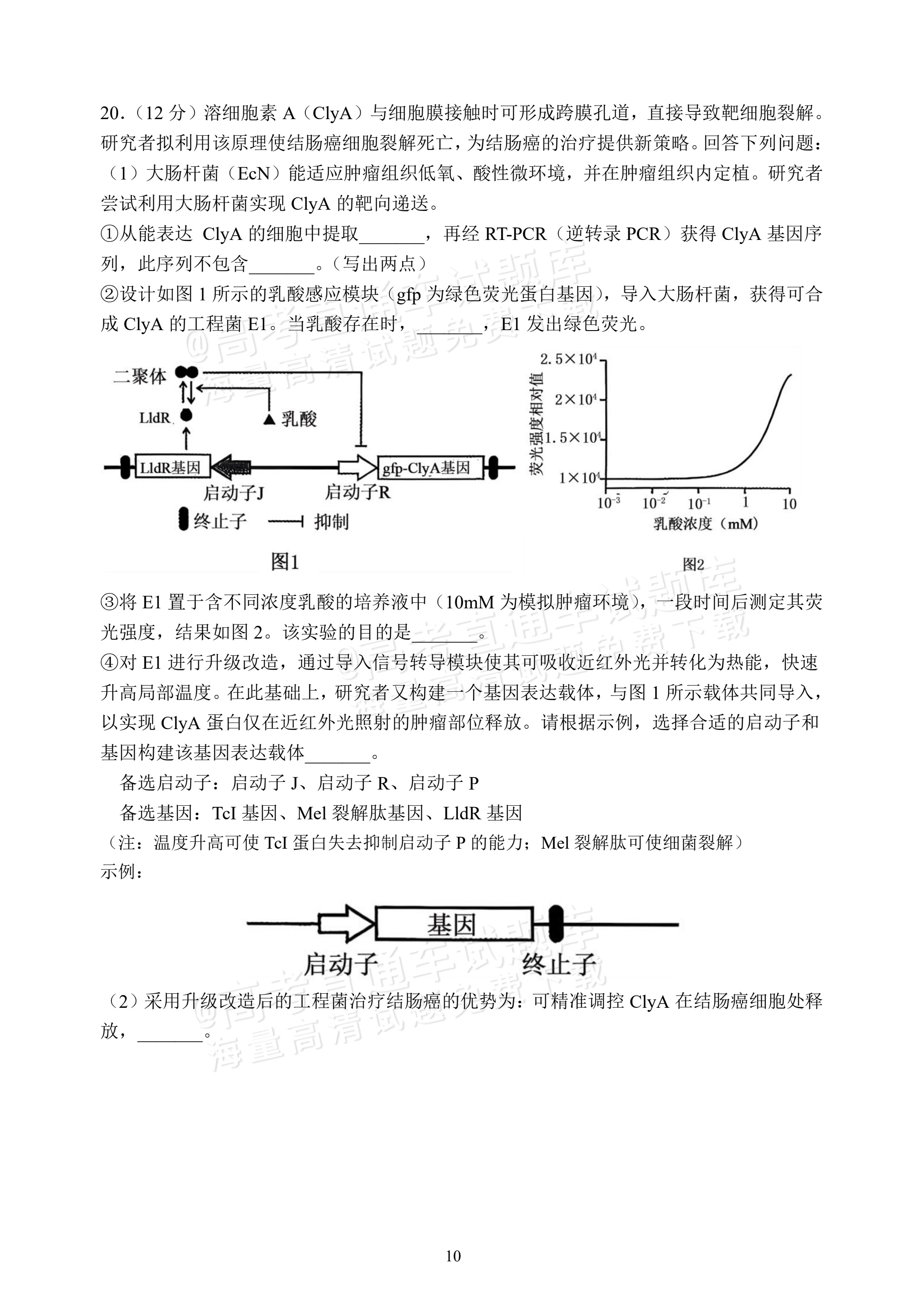2027福建福州第一中学开学考生物试题 第10页