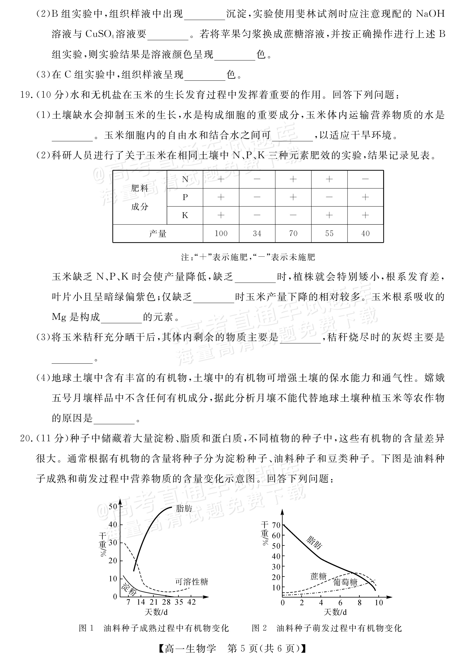 2027河南新未来高一10月联考生物试题 第5页