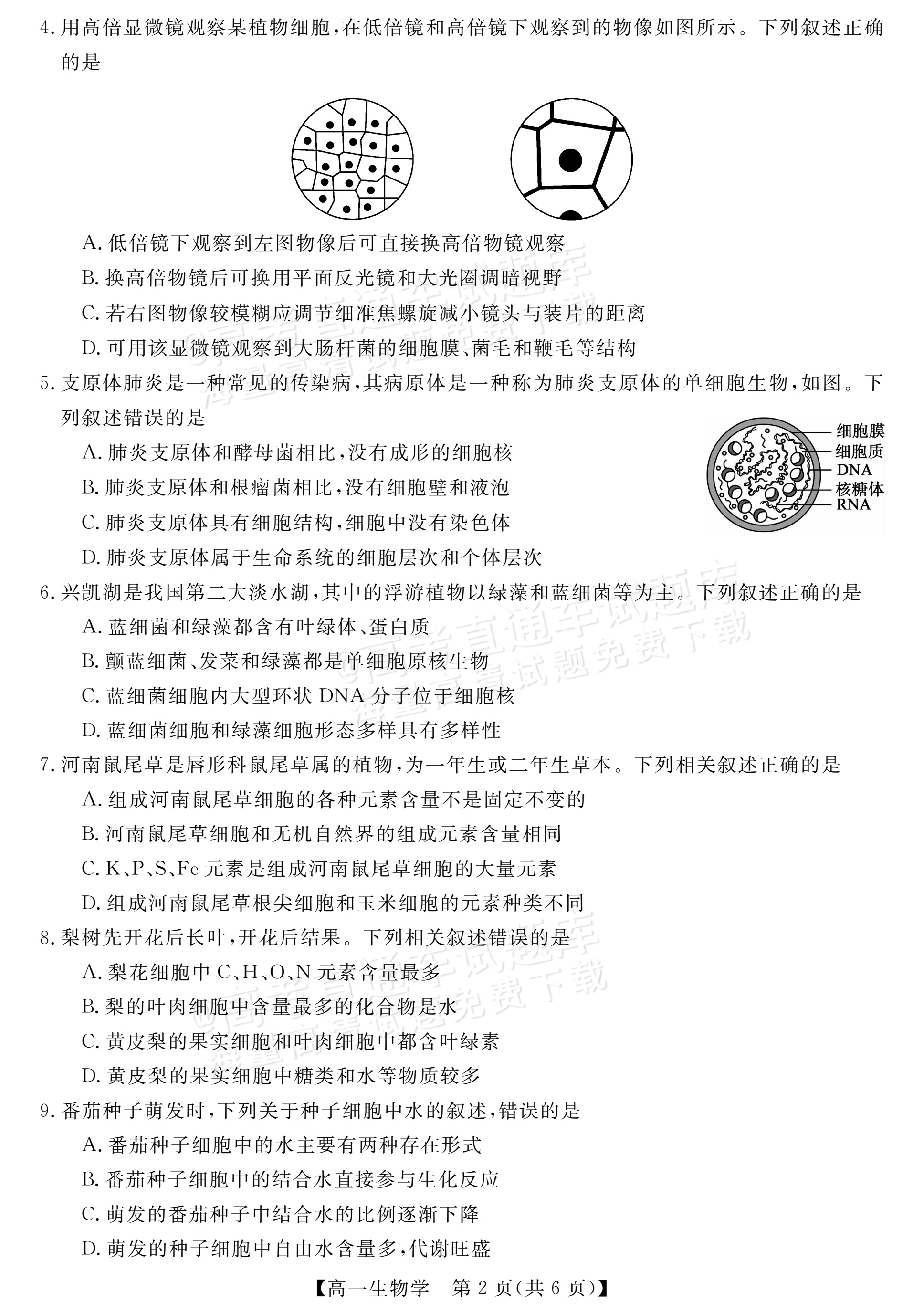 2027河南新未来高一10月联考生物试题 第2页