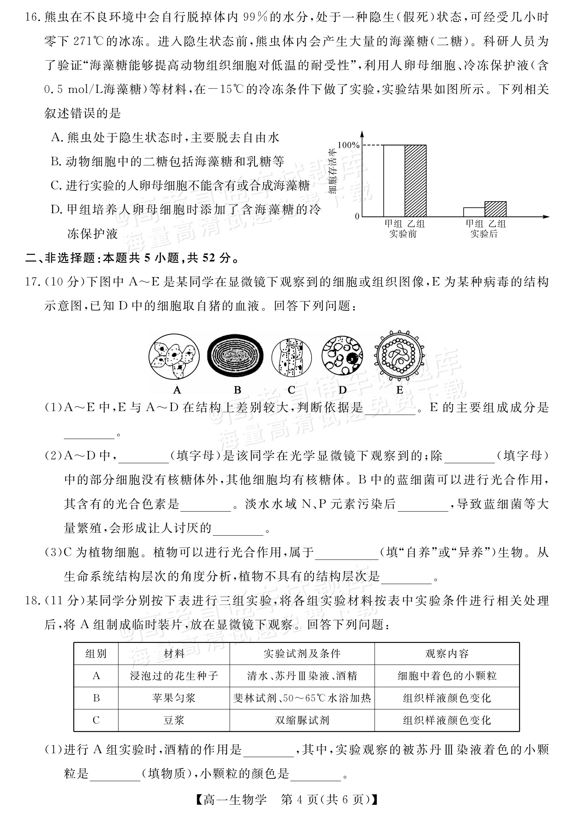 2027河南新未来高一10月联考生物试题 第4页