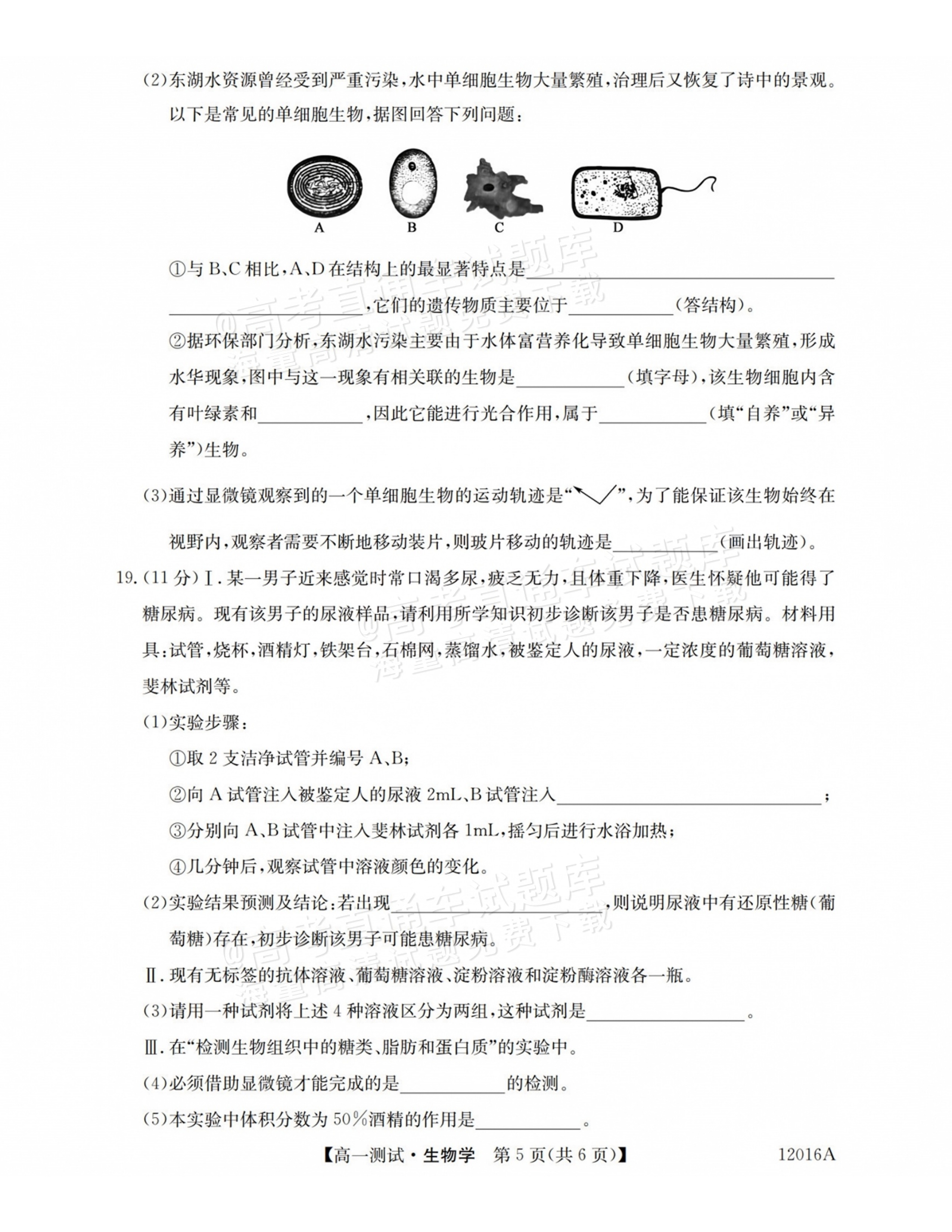 2027山西三重教育10月高一素质测评生物试题及参考答案 第5页