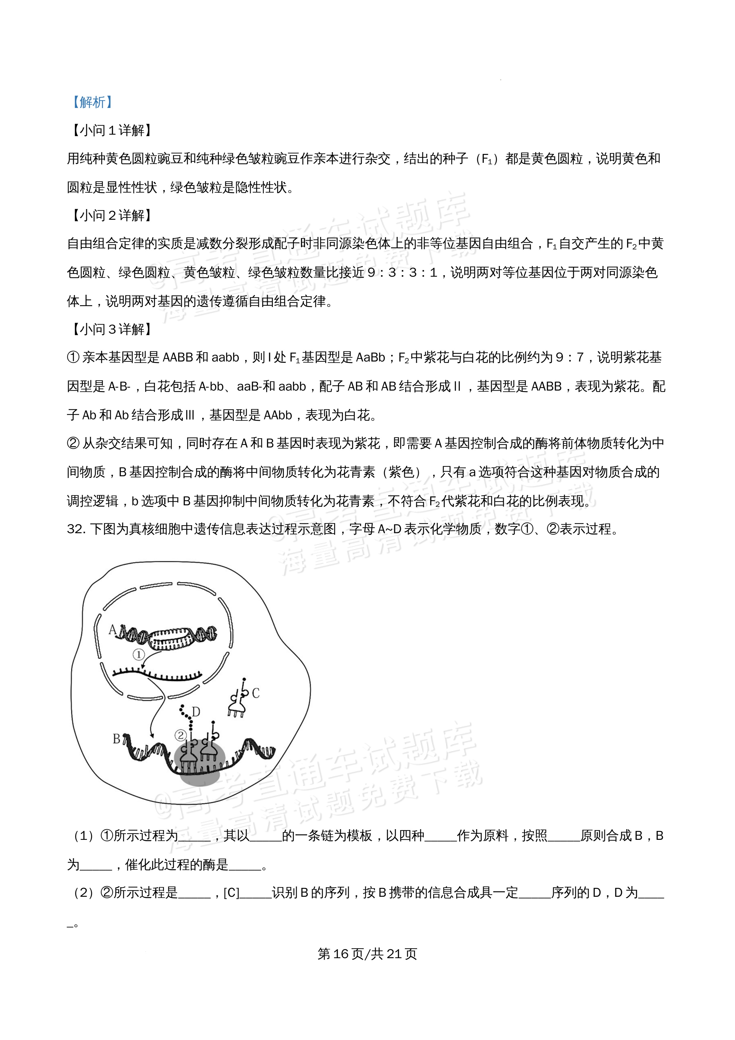 2026北京市牛栏山第一中学高一5月期中考生物试题及参考答案 答案 第16页