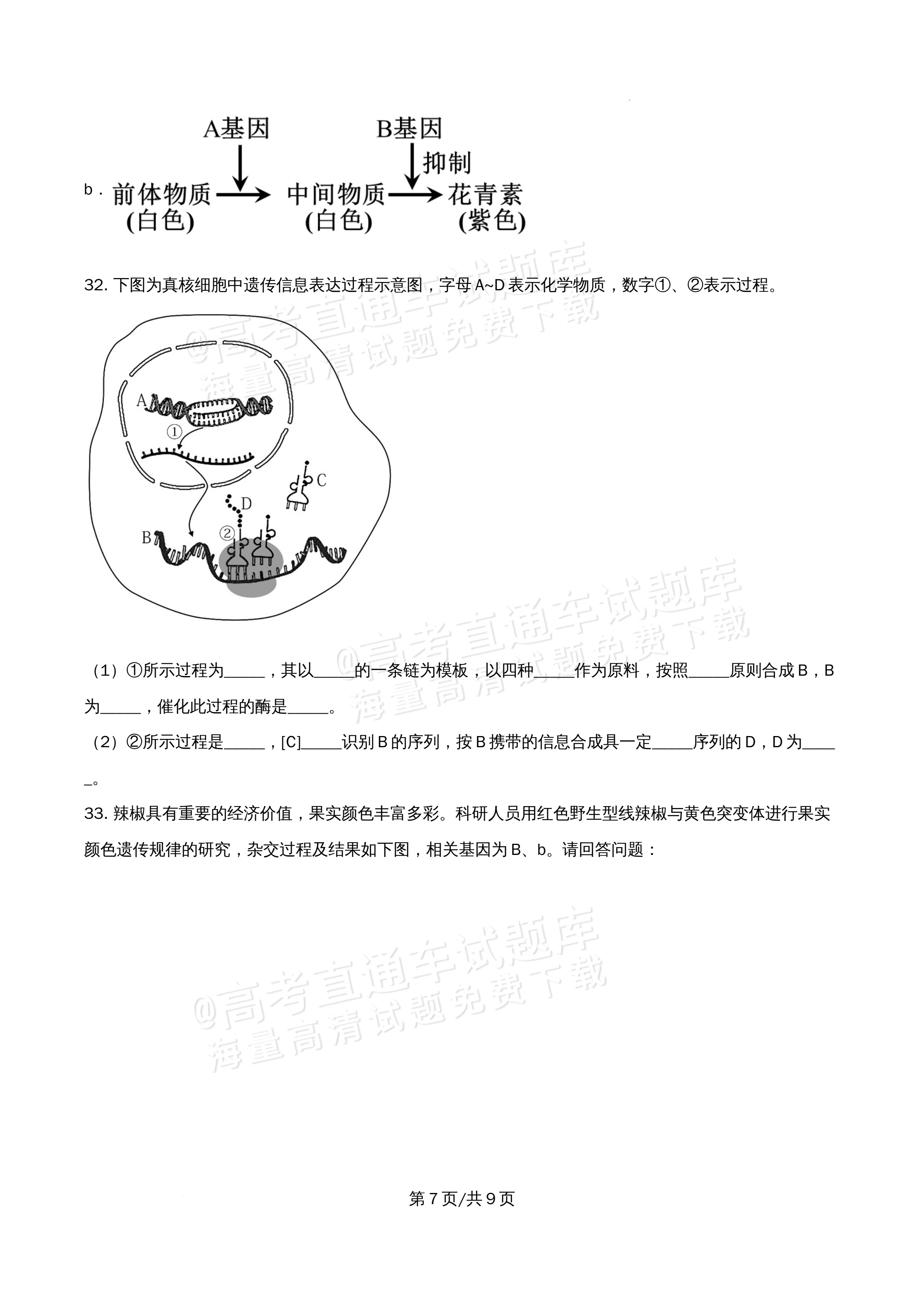 2026北京市牛栏山第一中学高一5月期中考生物试题及参考答案 第7页