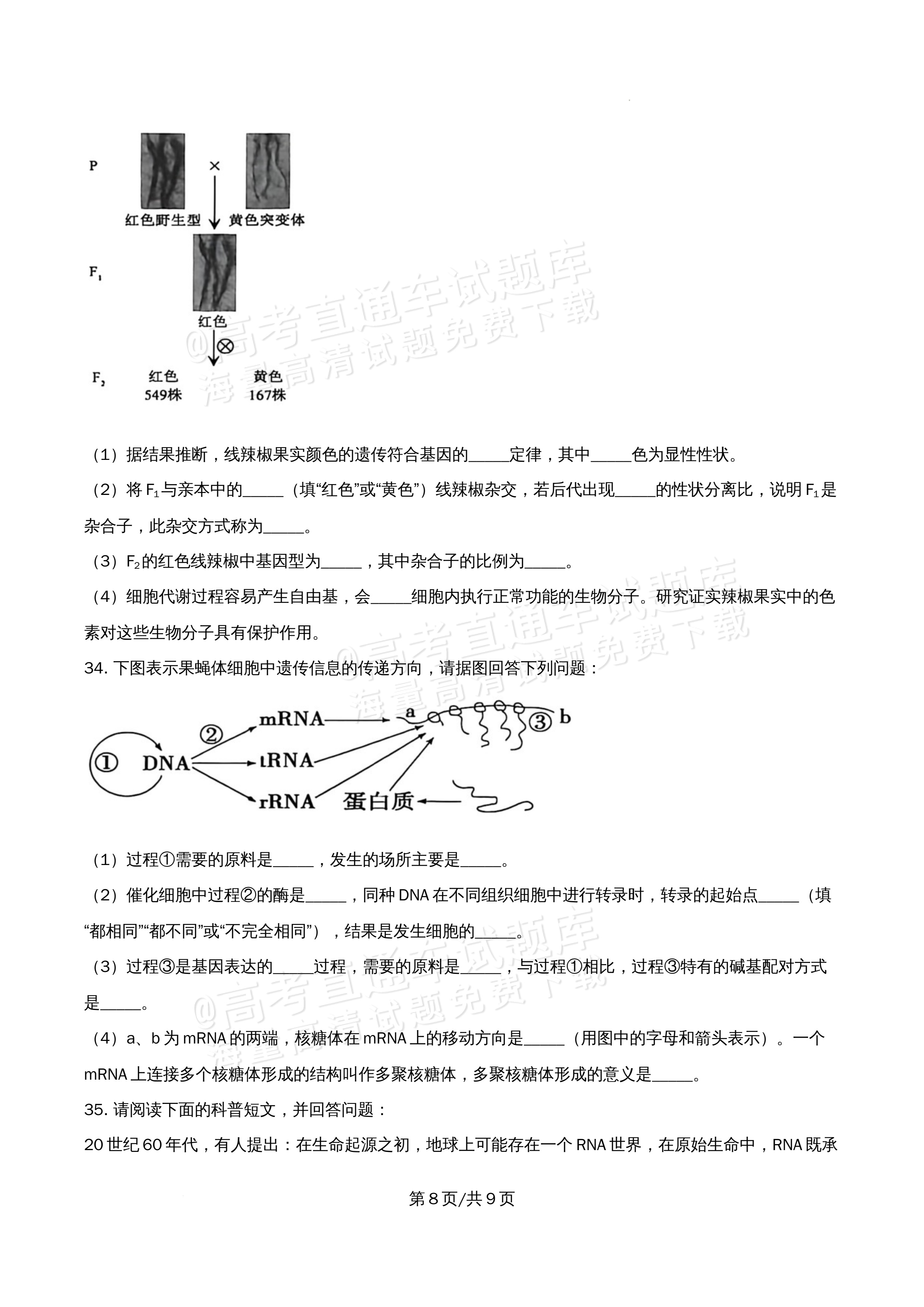 2026北京市牛栏山第一中学高一5月期中考生物试题及参考答案 第8页