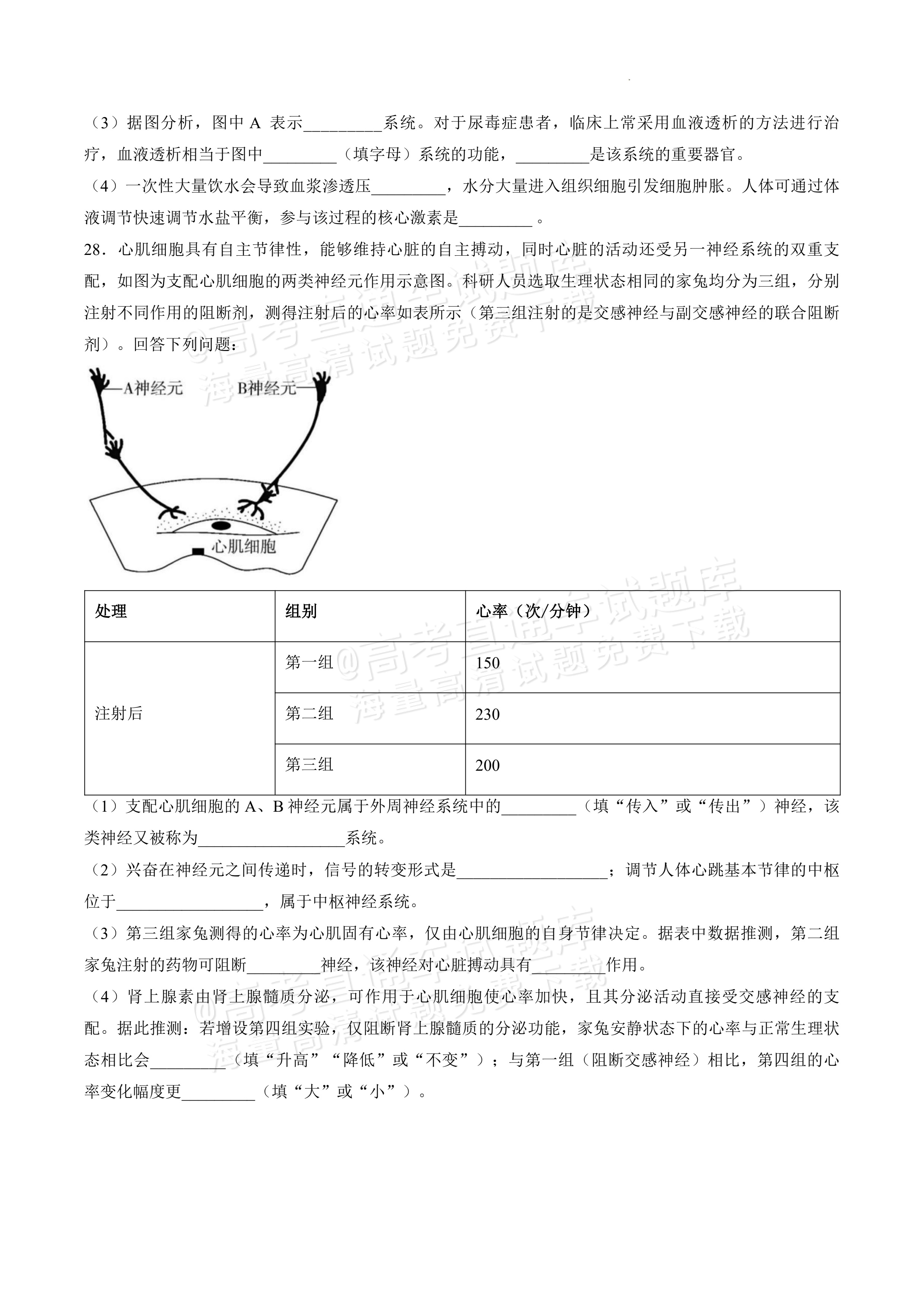 2027黑龙江省哈尔滨市第三中学高二上10月月考生物试题及参考答案 第9页