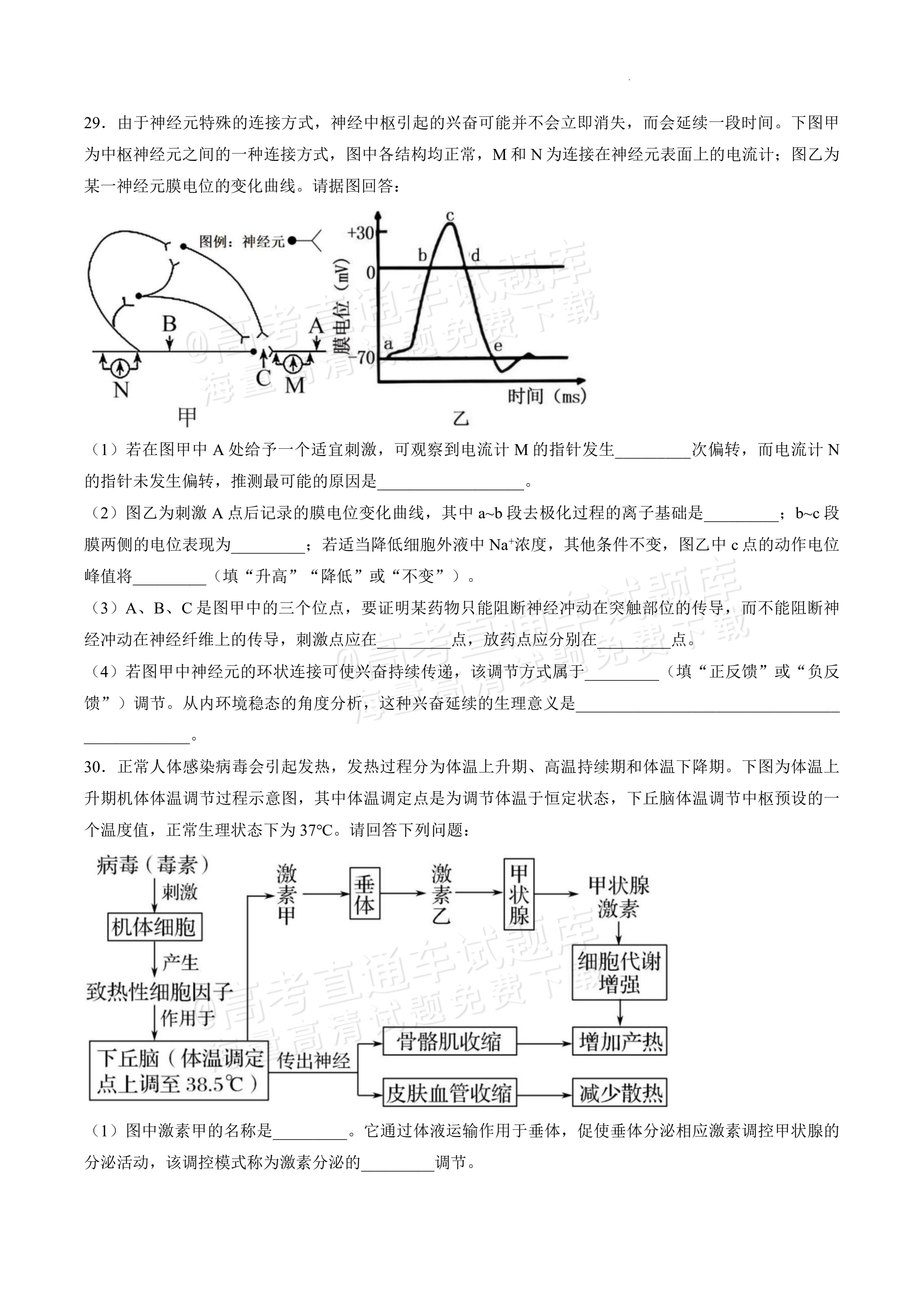2027黑龙江省哈尔滨市第三中学高二上10月月考生物试题及参考答案 第10页