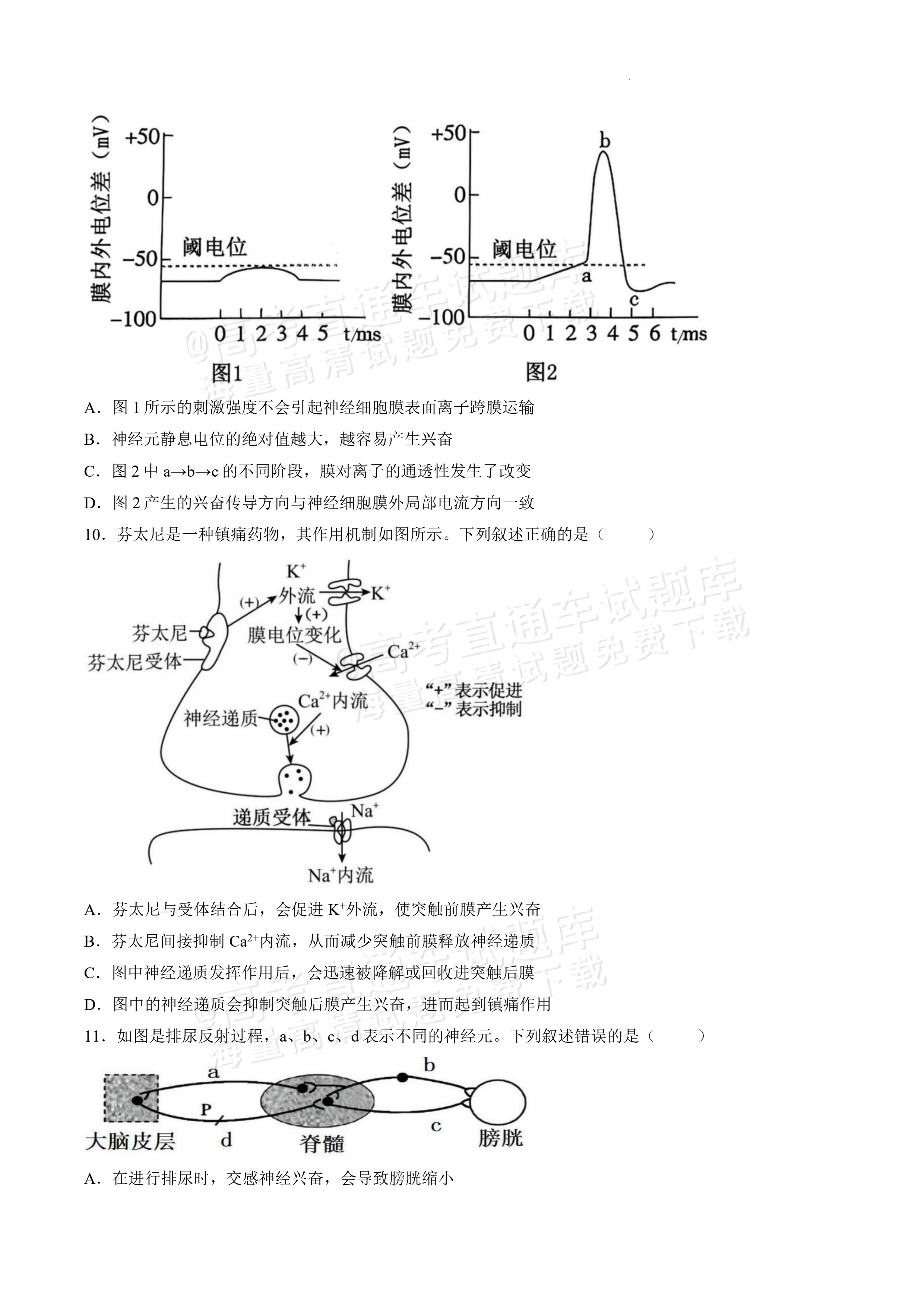 2027黑龙江省哈尔滨市第三中学高二上10月月考生物试题及参考答案 第3页