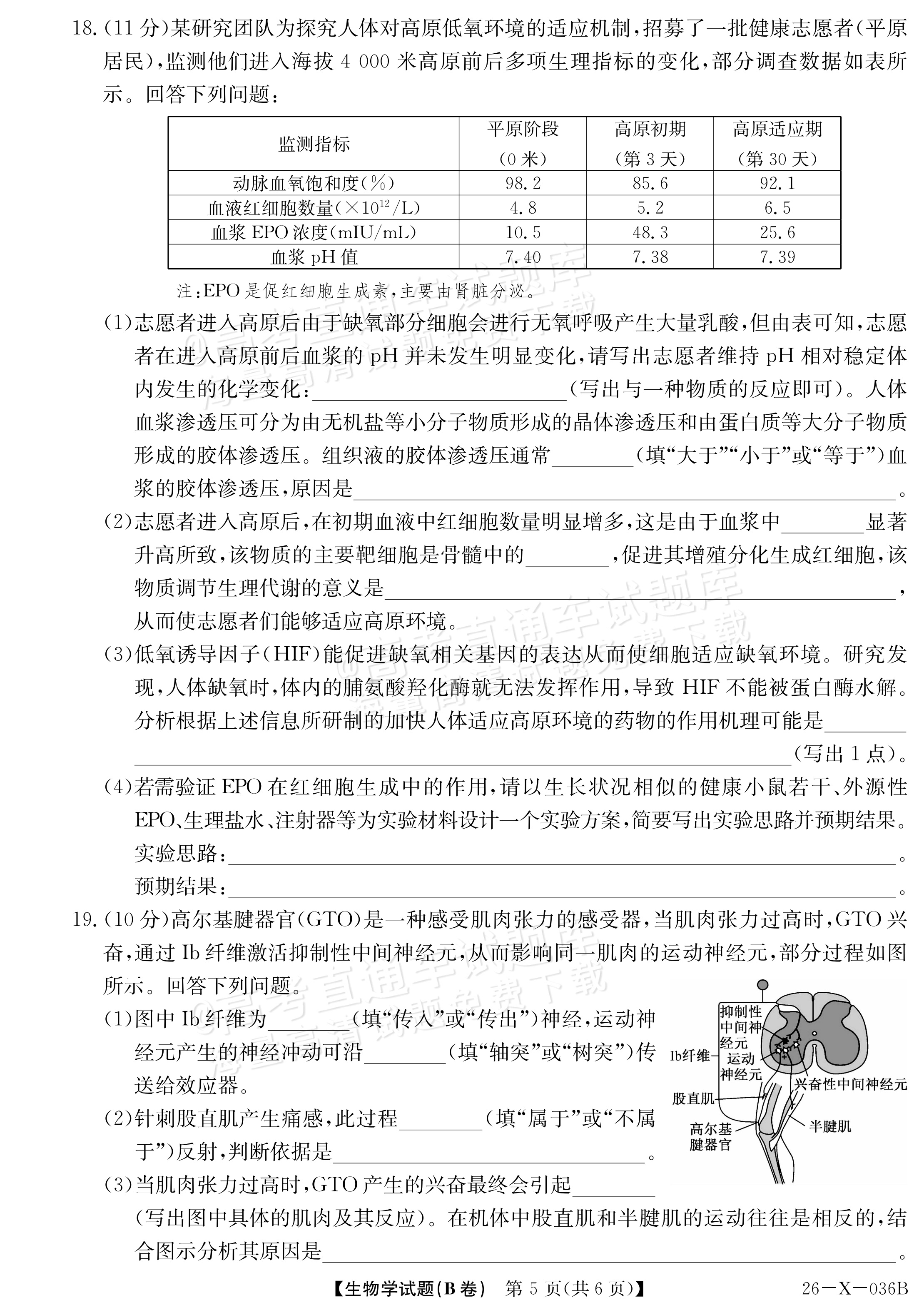 2027河南省高二TOP二十名校10月调研考试 生物试题及参考答案 第5页