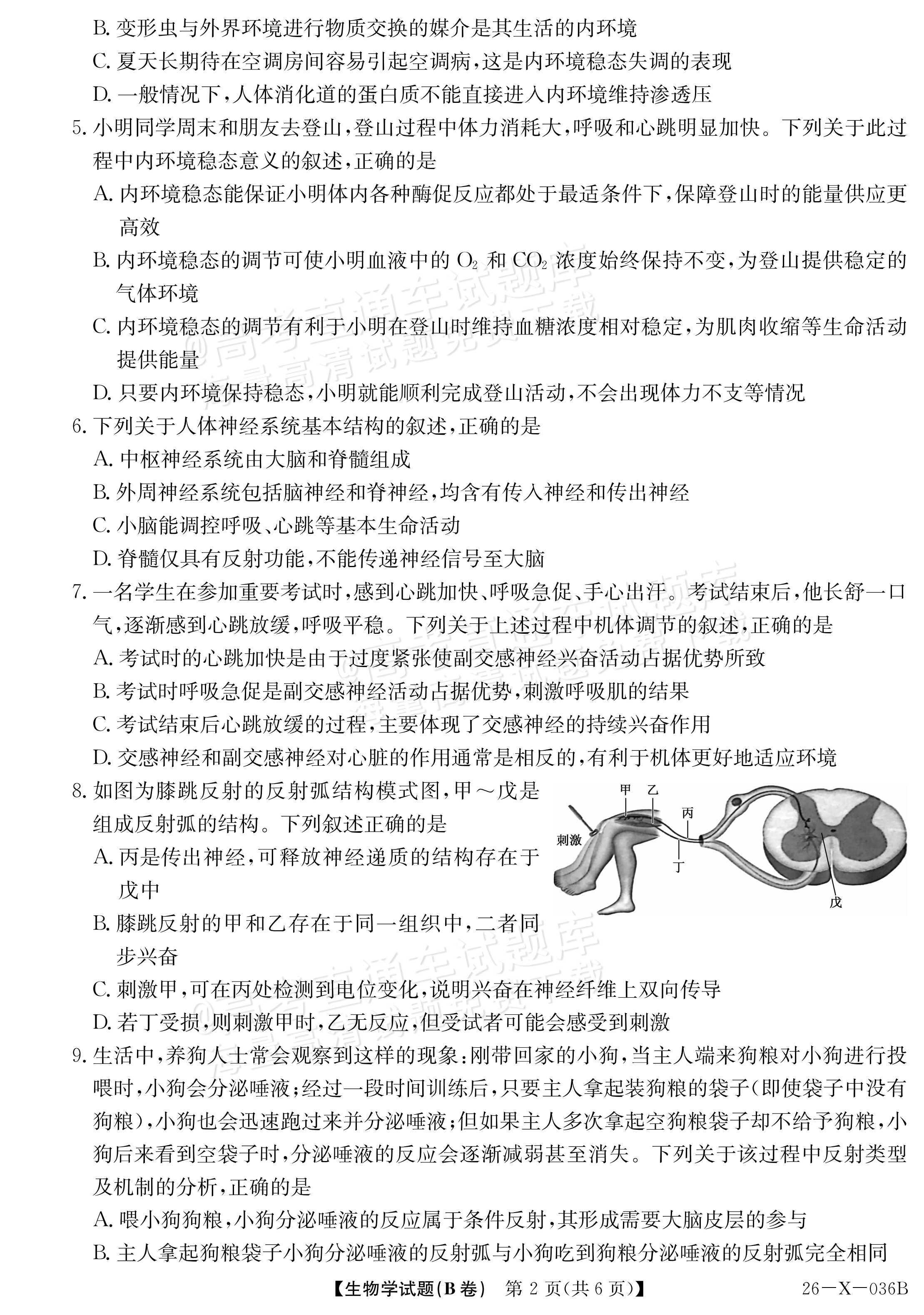 2027河南省高二TOP二十名校10月调研考试 生物试题及参考答案 第2页