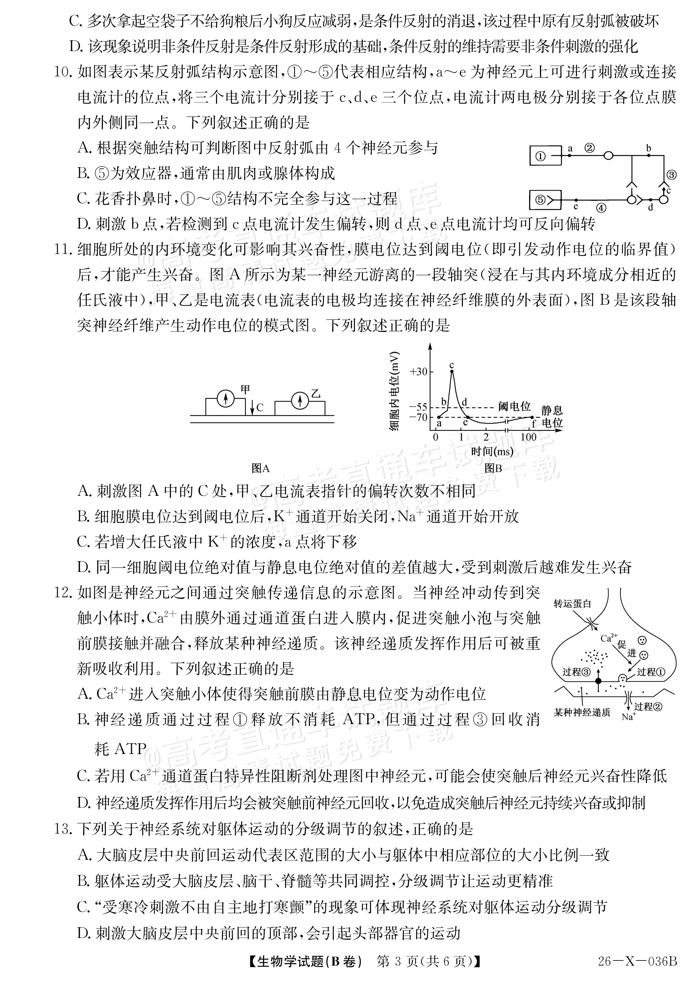 2027河南省高二TOP二十名校10月调研考试 生物试题及参考答案 第3页