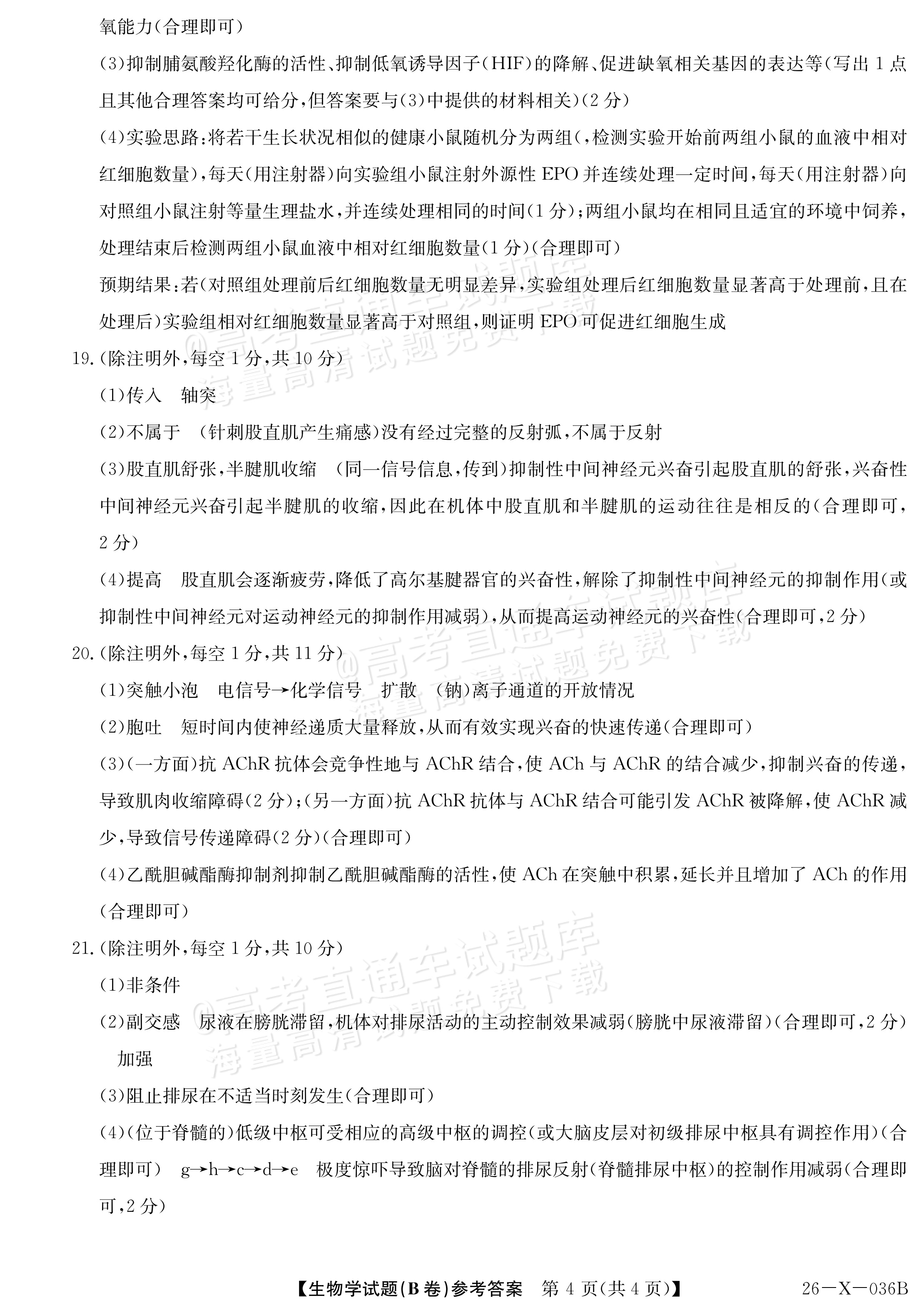 2027河南省高二TOP二十名校10月调研考试 生物试题及参考答案 答案 第4页