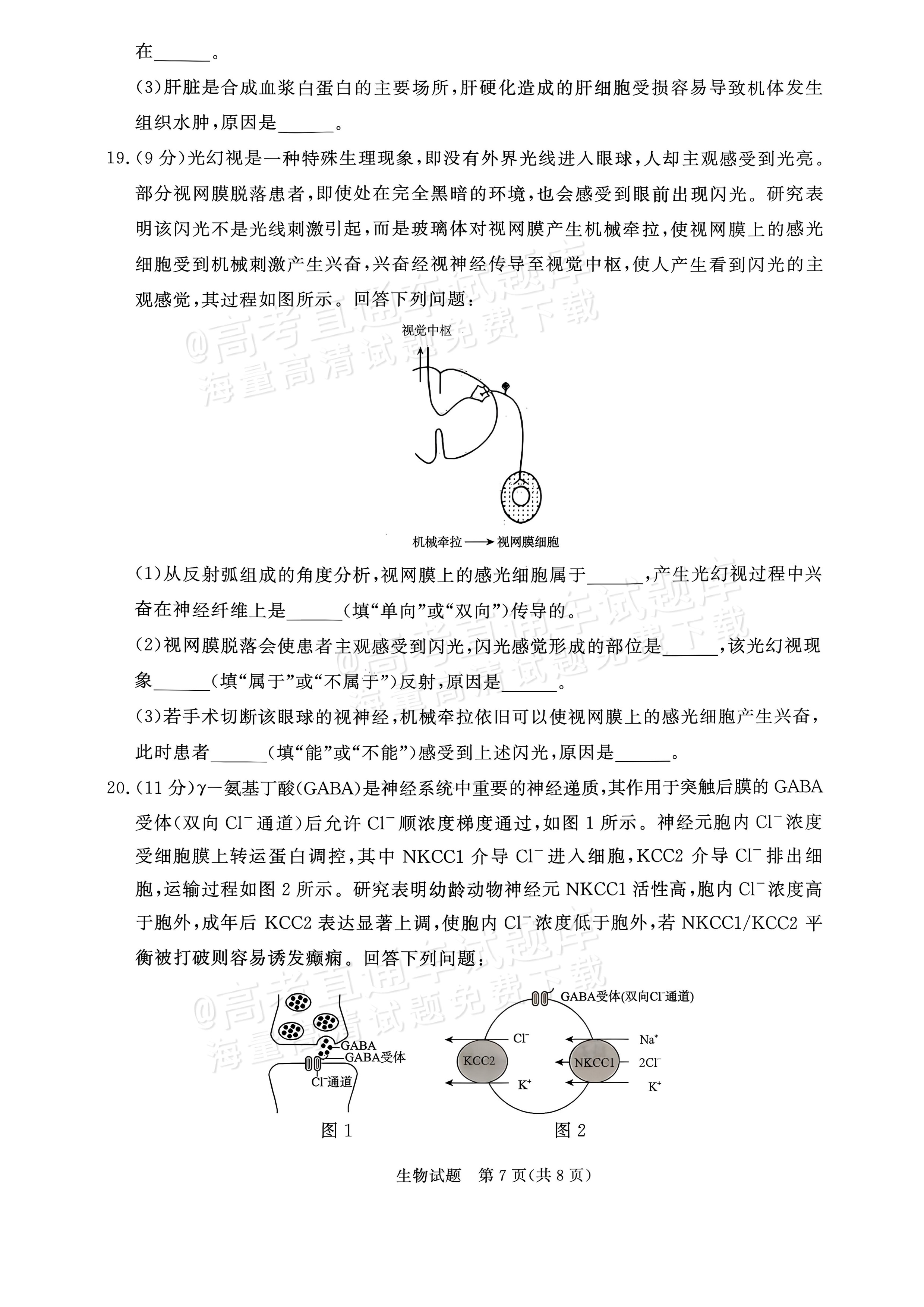 2027河南部分学校高二过程性作业评价生物试题及参考答案 第7页
