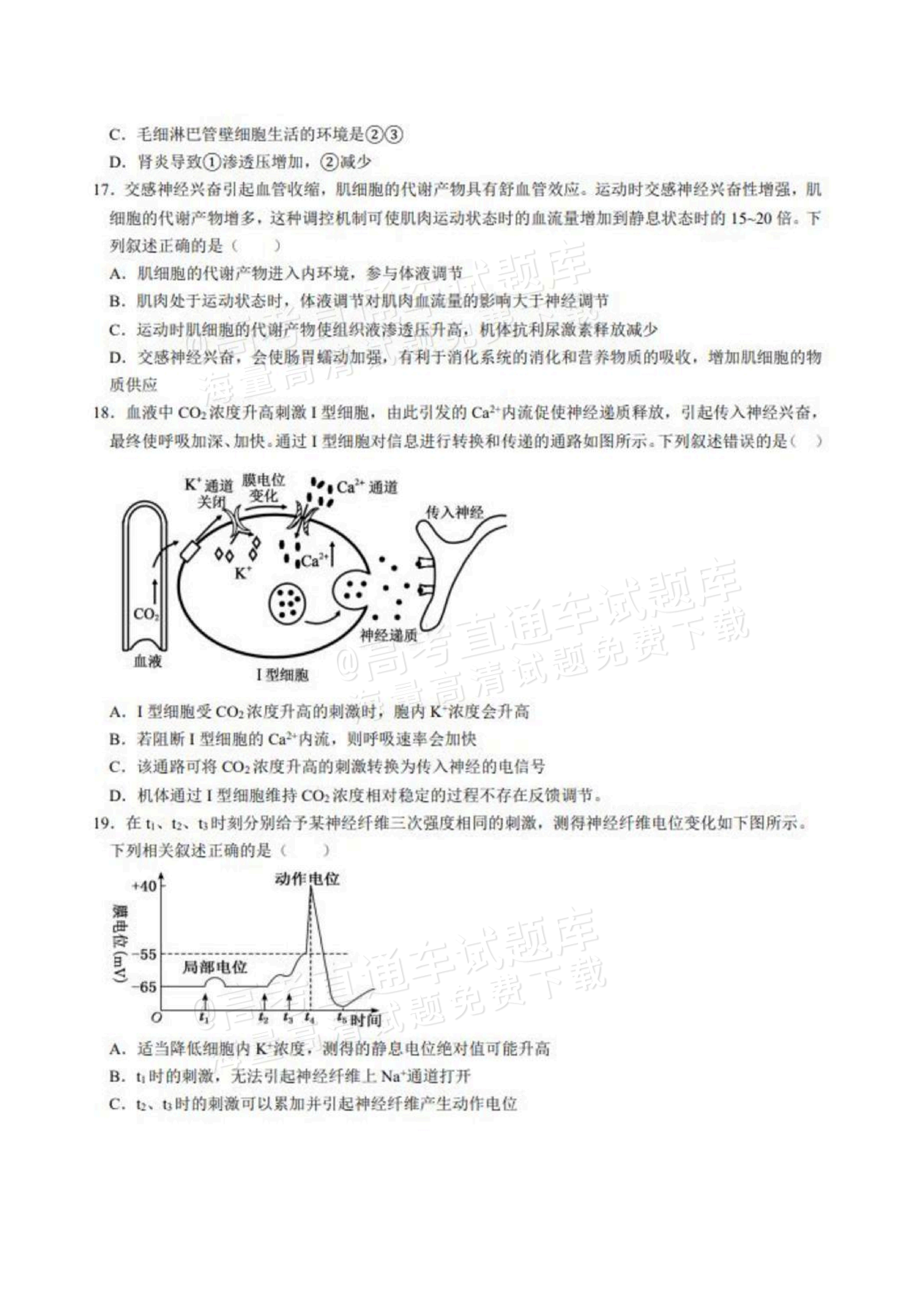 2027山东德州市夏津第一中学高二上第一次月考生物试题及参考答案 第5页