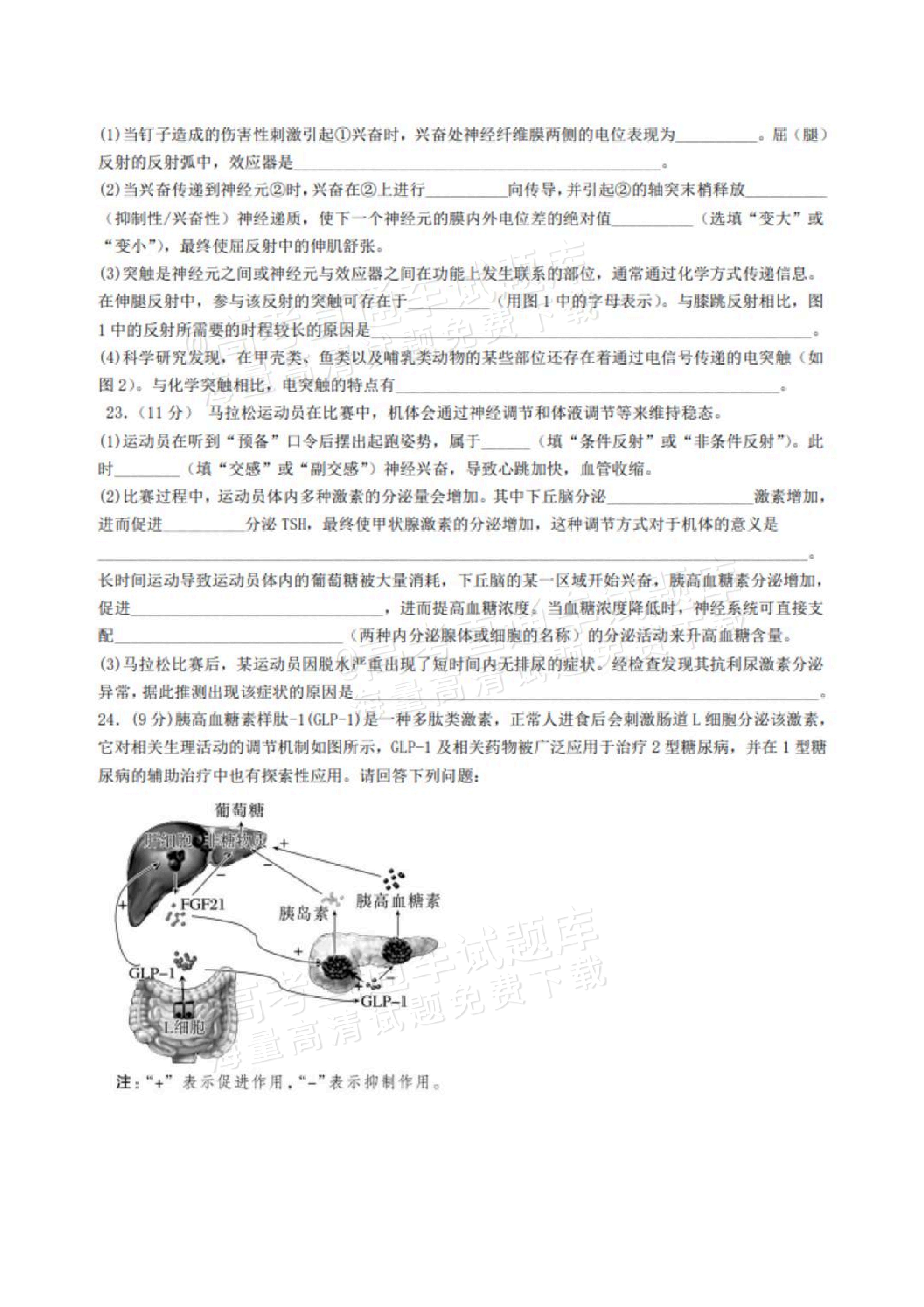 2027山东德州市夏津第一中学高二上第一次月考生物试题及参考答案 第7页