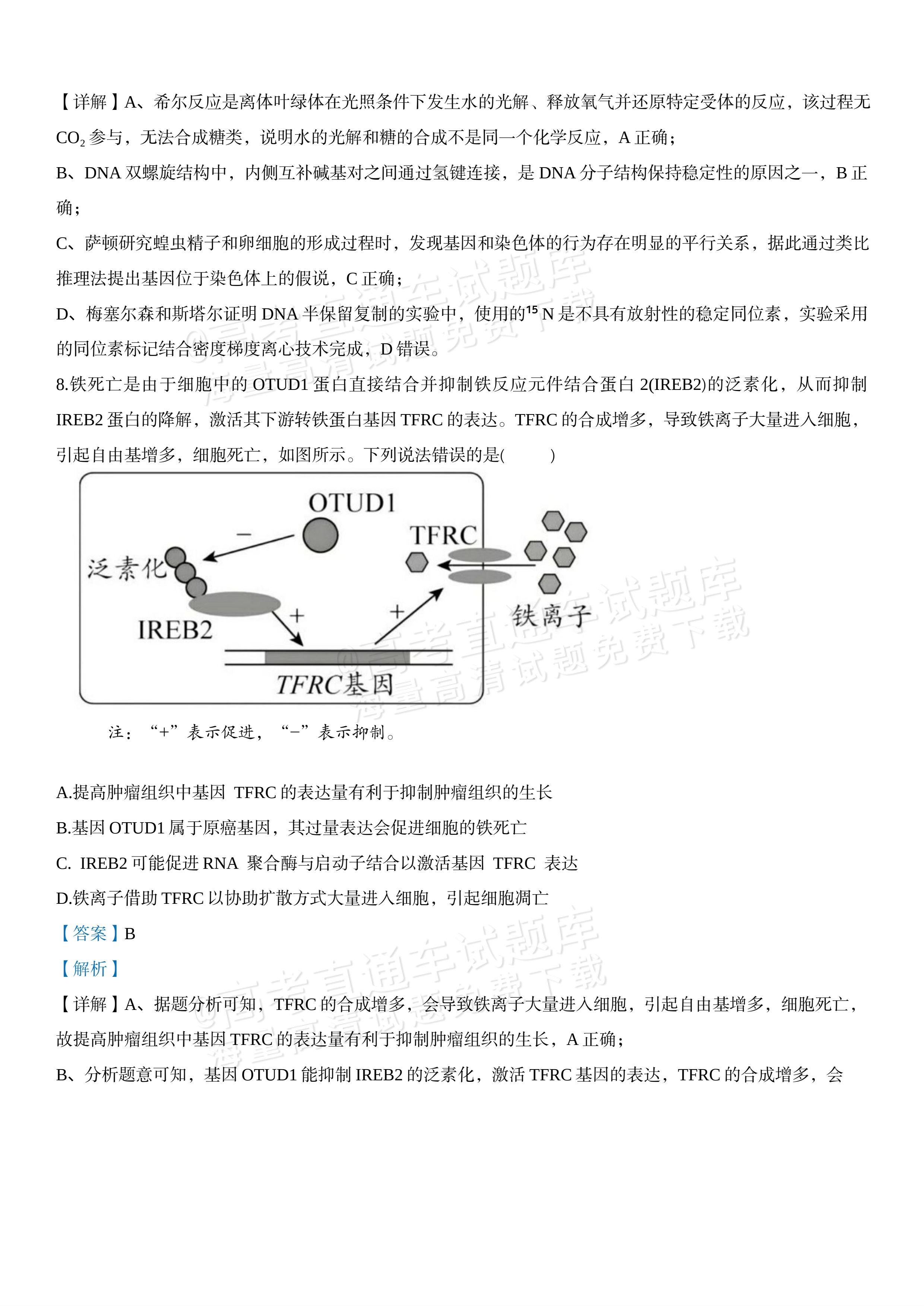 2027江苏三校高三10月调研测试生物试题及参考答案 答案 第5页