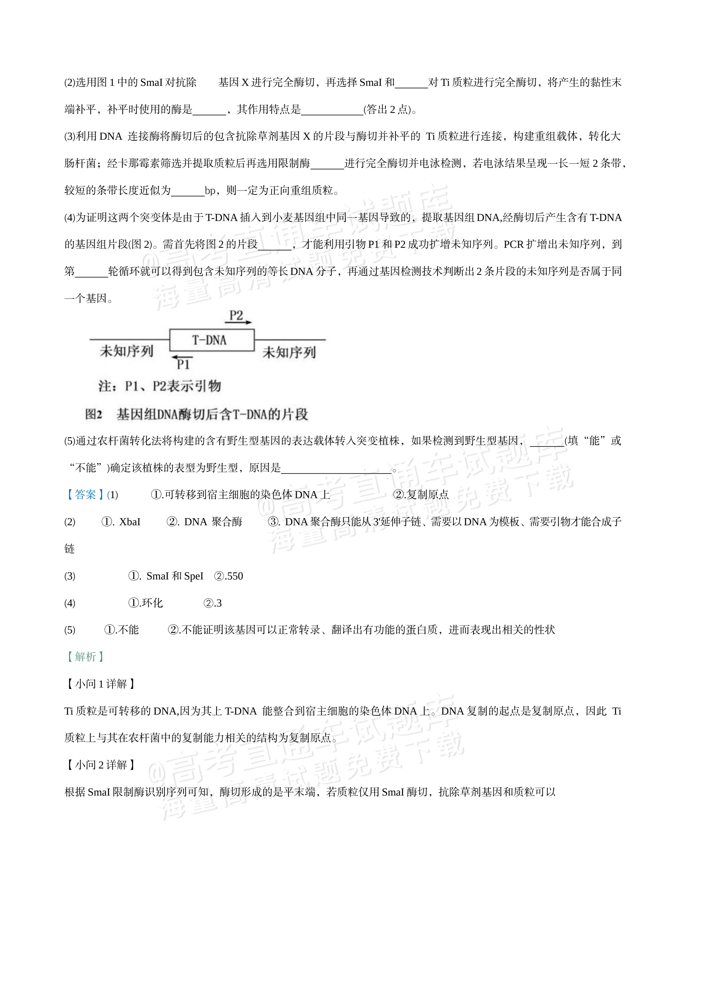 2027江苏三校高三10月调研测试生物试题及参考答案 答案 第23页