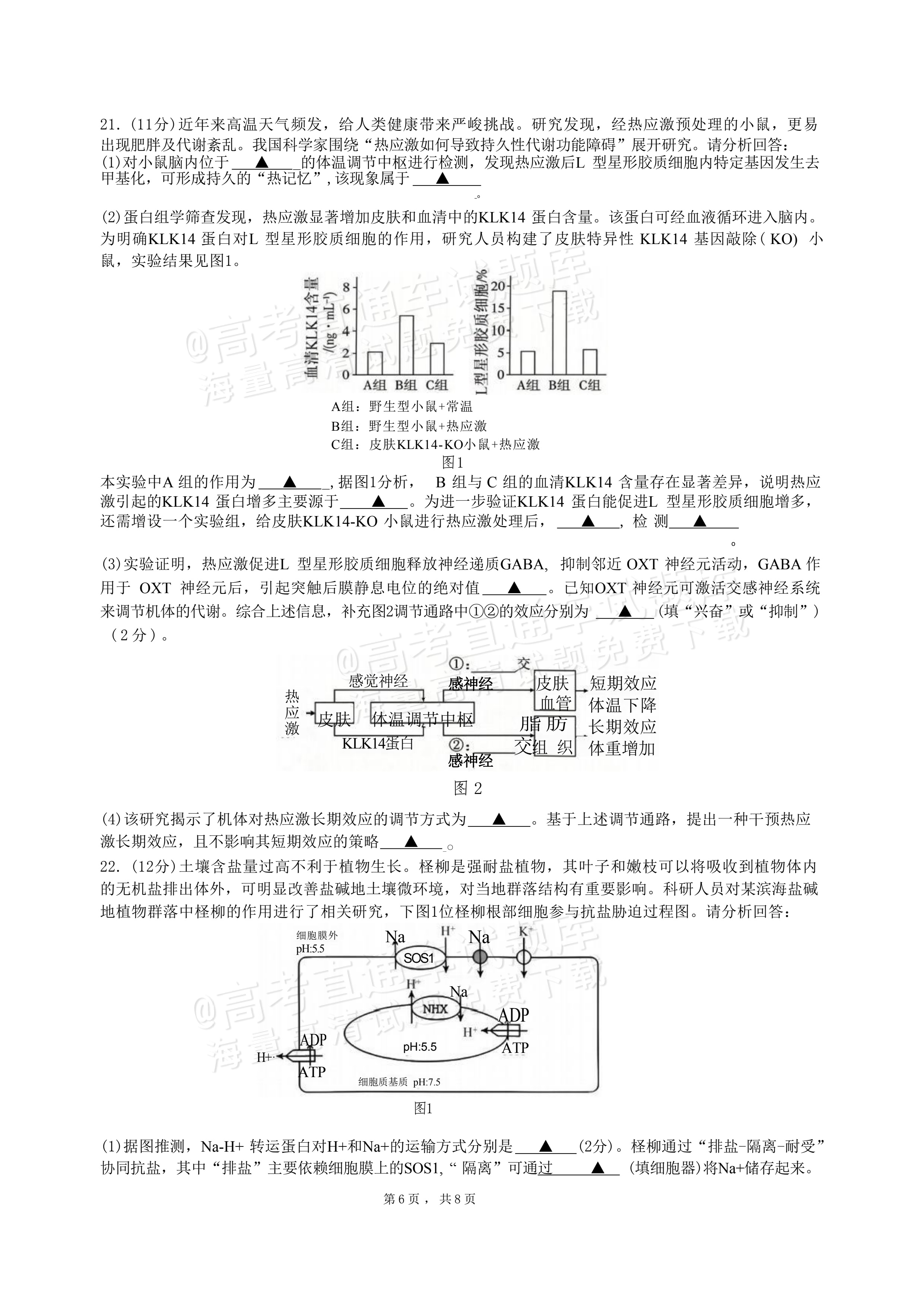 2027江苏三校高三10月调研测试生物试题及参考答案 第6页