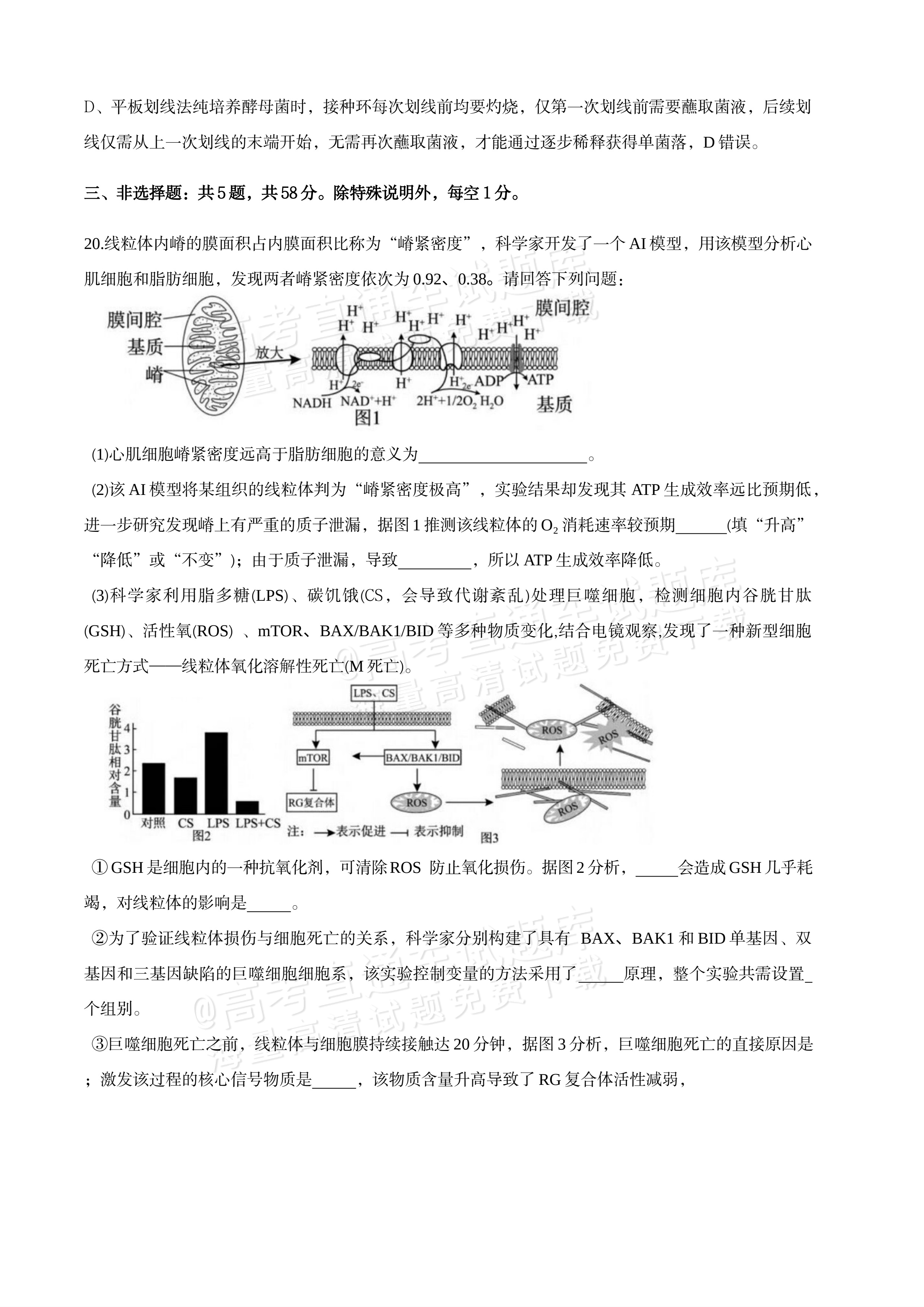 2027江苏三校高三10月调研测试生物试题及参考答案 答案 第15页