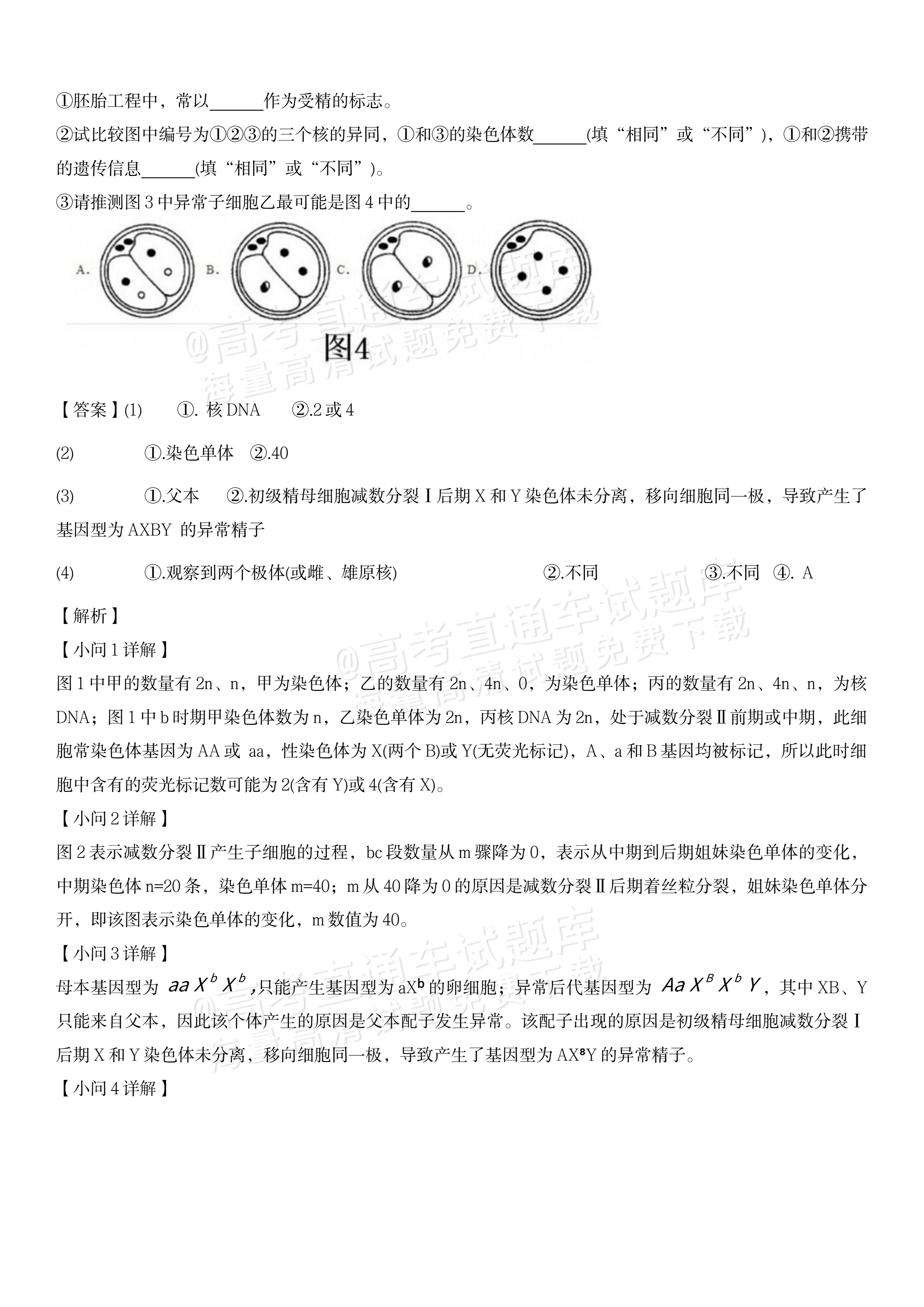2027江苏三校高三10月调研测试生物试题及参考答案 答案 第20页