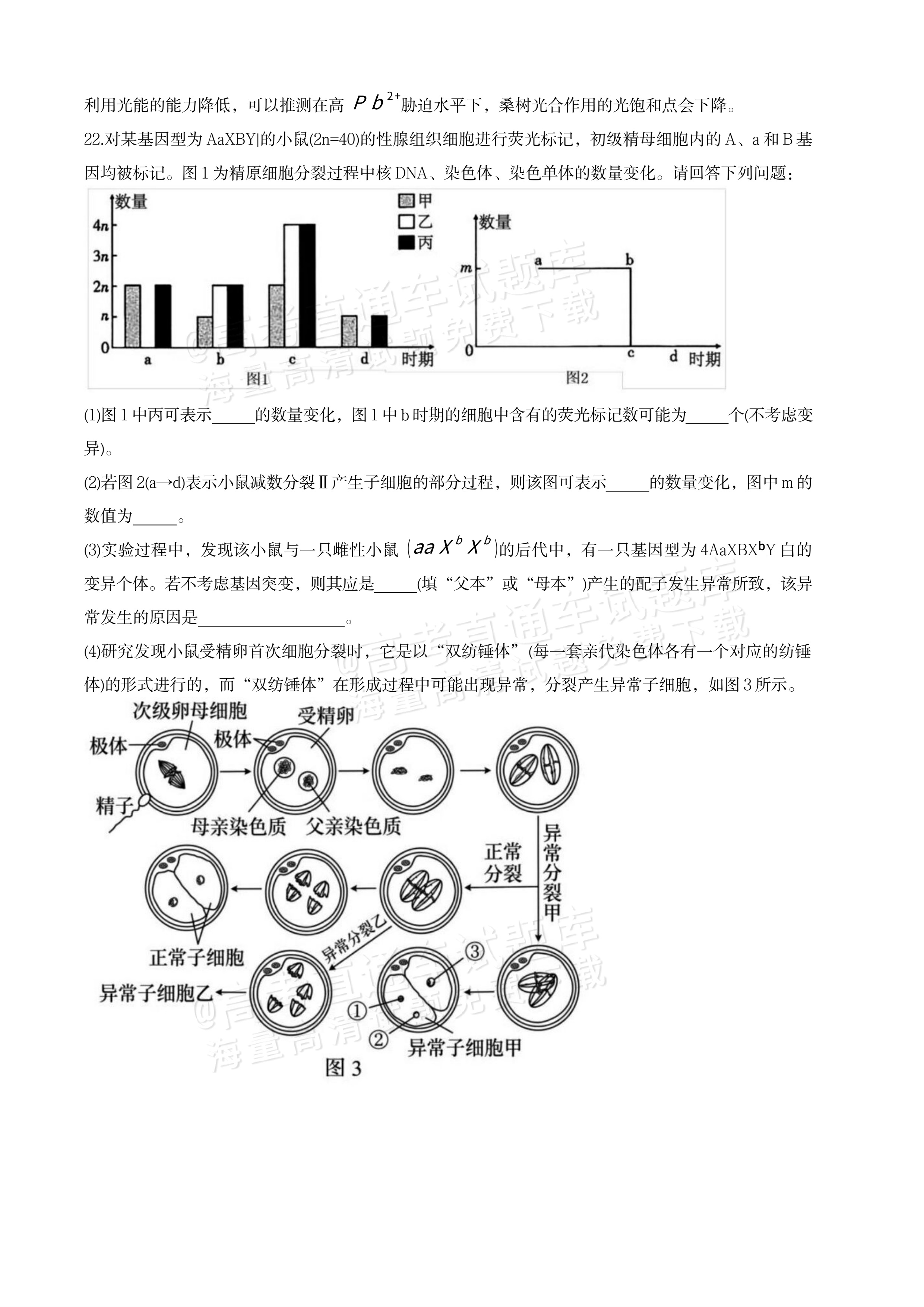 2027江苏三校高三10月调研测试生物试题及参考答案 答案 第19页