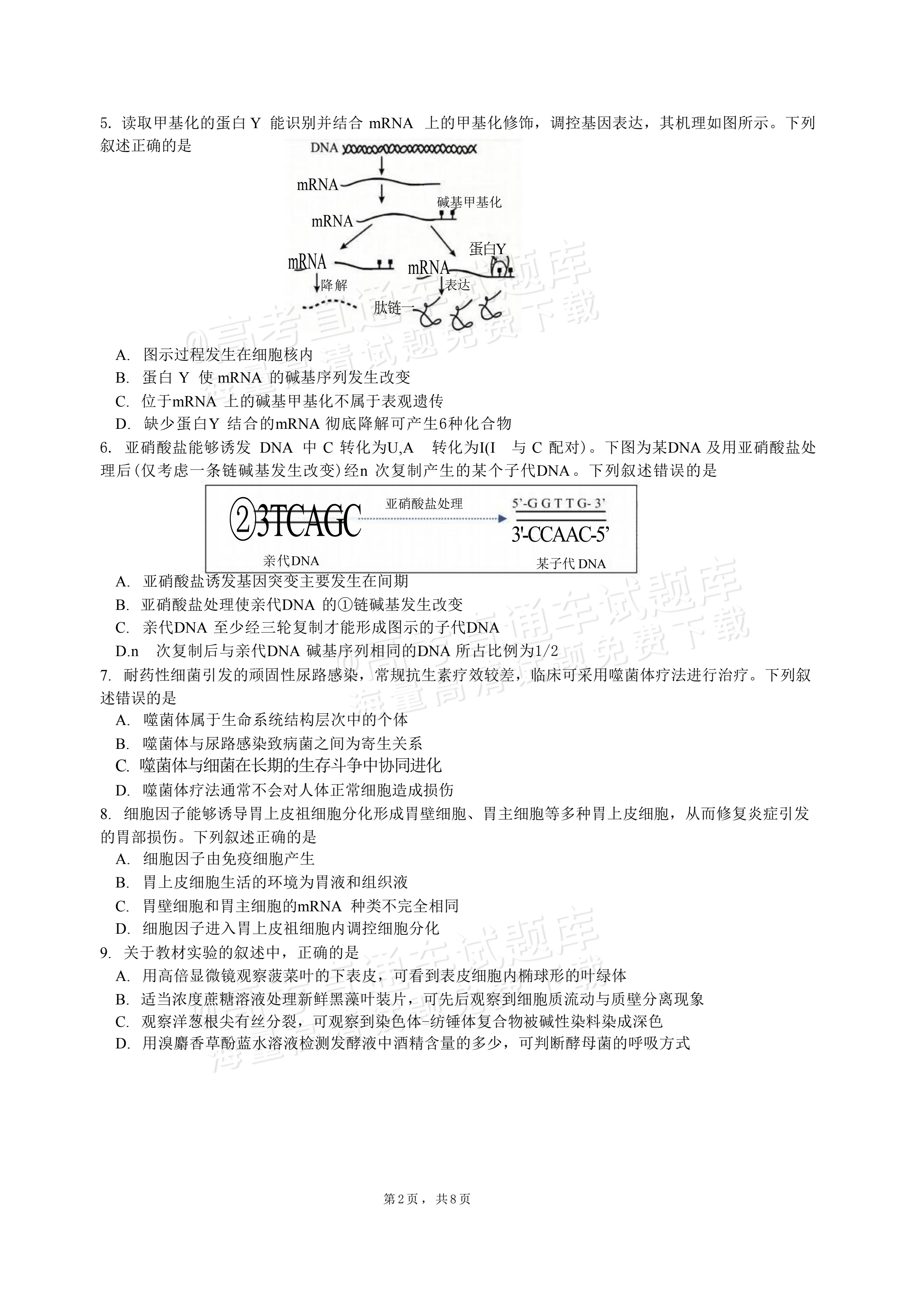 2027江苏三校高三10月调研测试生物试题及参考答案 第2页