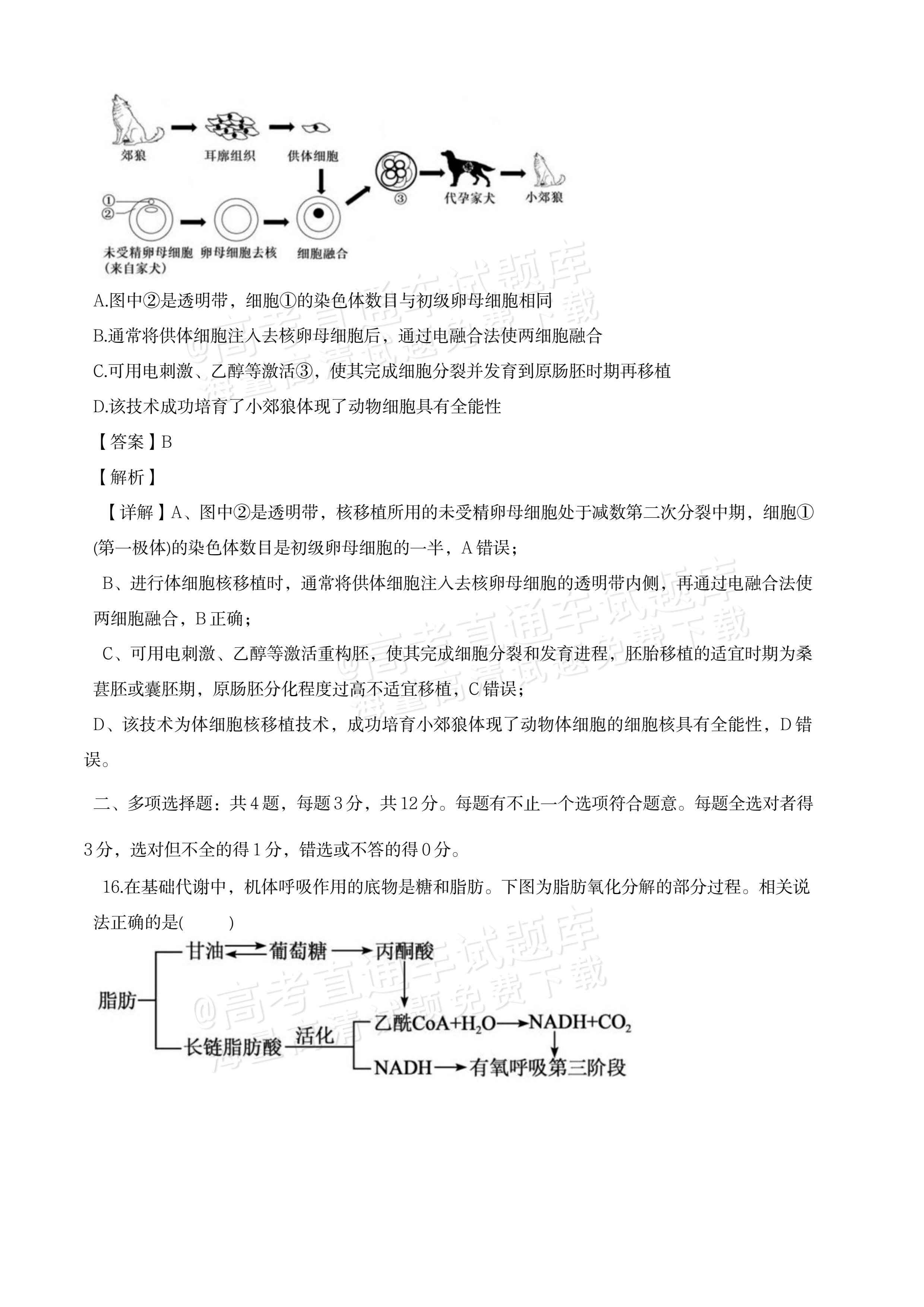 2027江苏三校高三10月调研测试生物试题及参考答案 答案 第11页