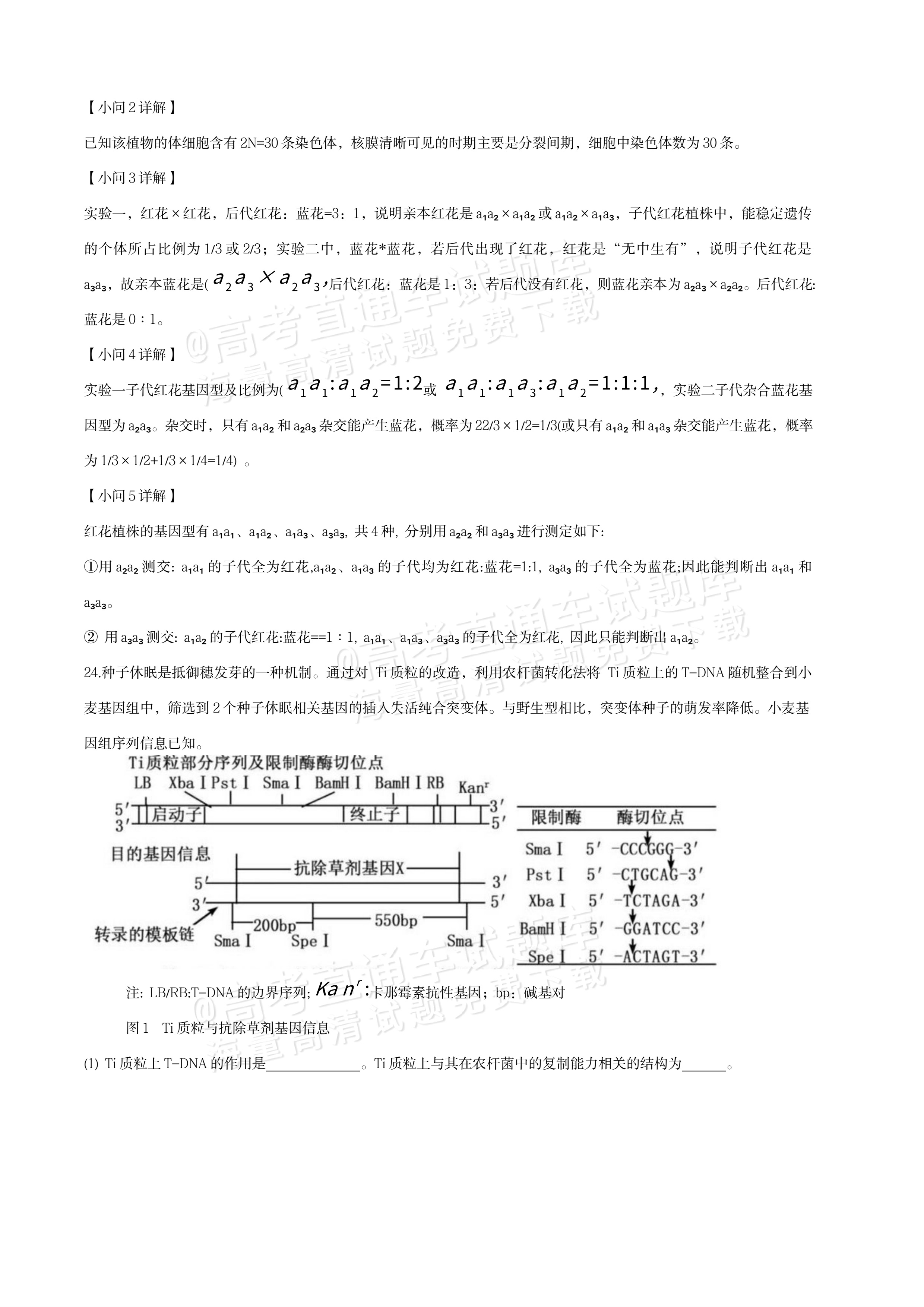 2027江苏三校高三10月调研测试生物试题及参考答案 答案 第22页