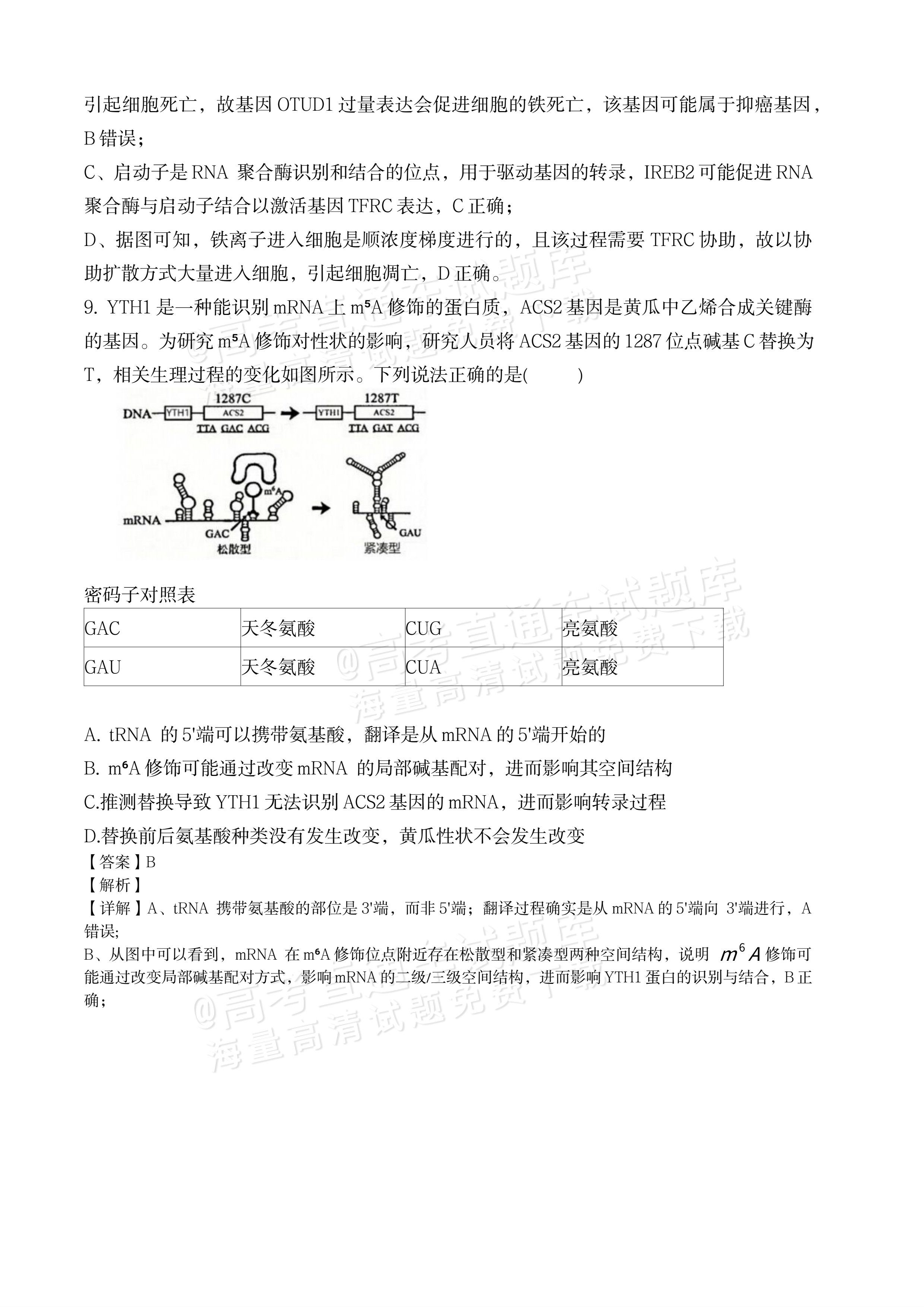 2027江苏三校高三10月调研测试生物试题及参考答案 答案 第6页