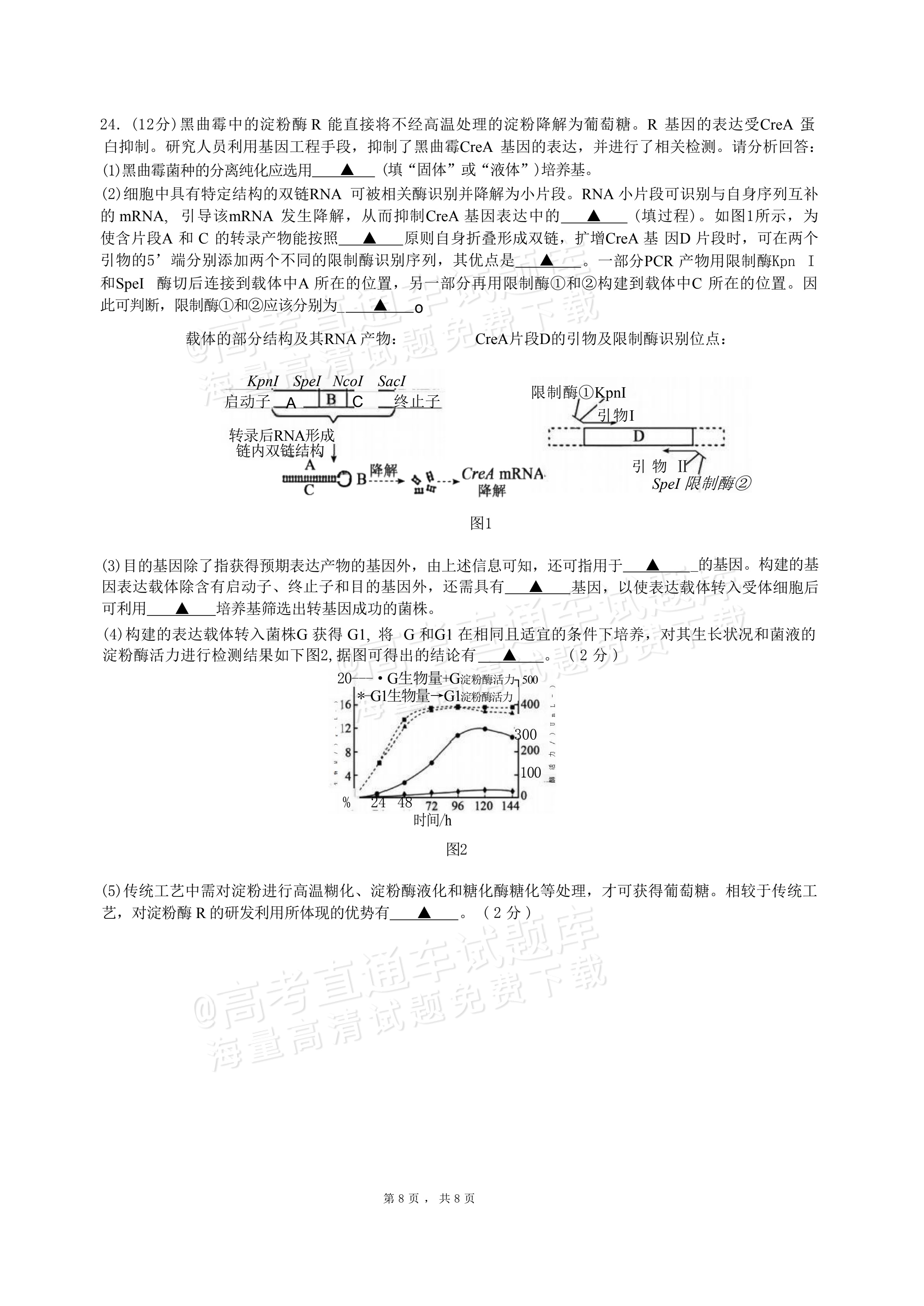 2027江苏三校高三10月调研测试生物试题及参考答案 第8页