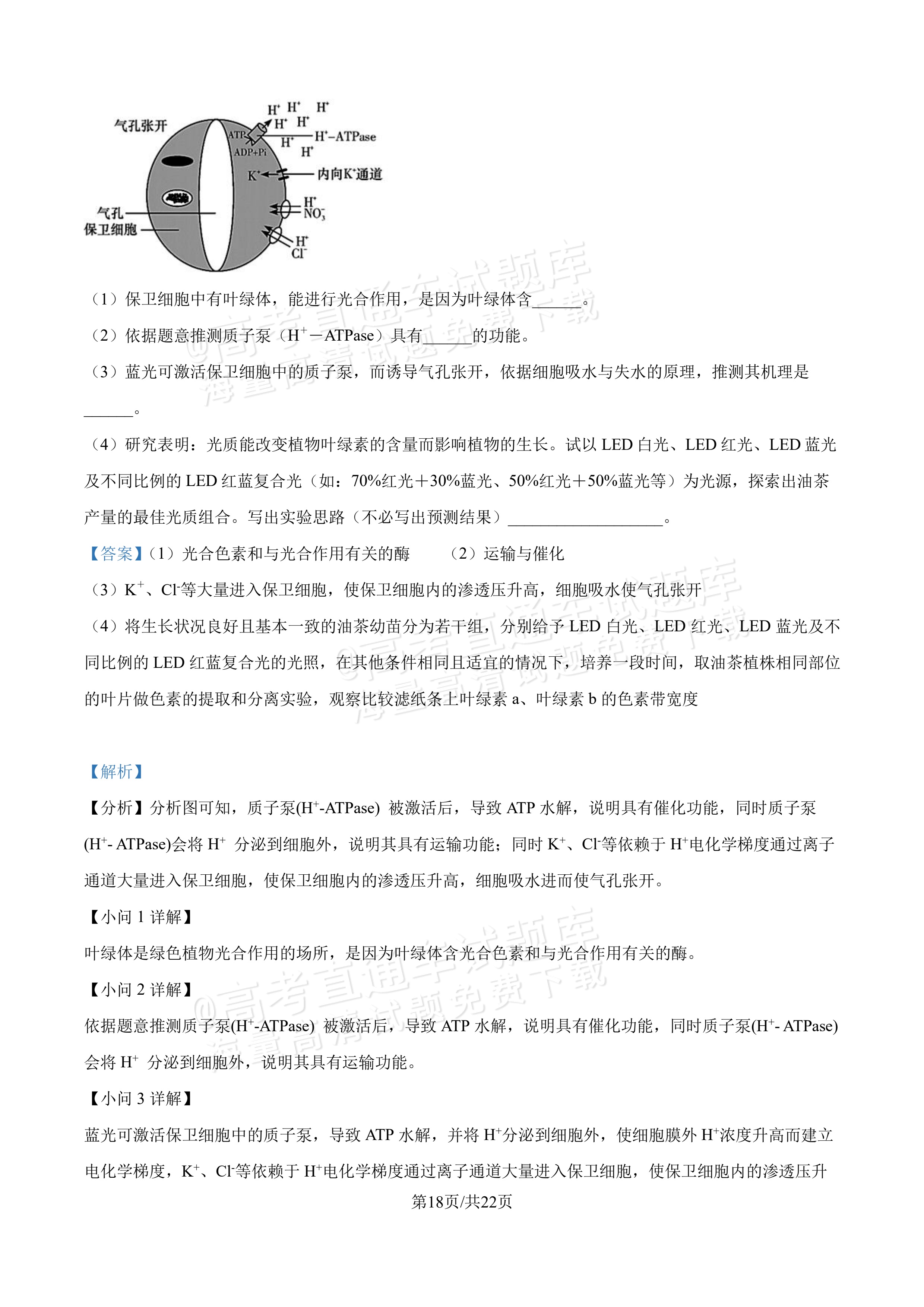 2027吉林长春第二中学高三10月调研测试生物参考答案 答案 第18页