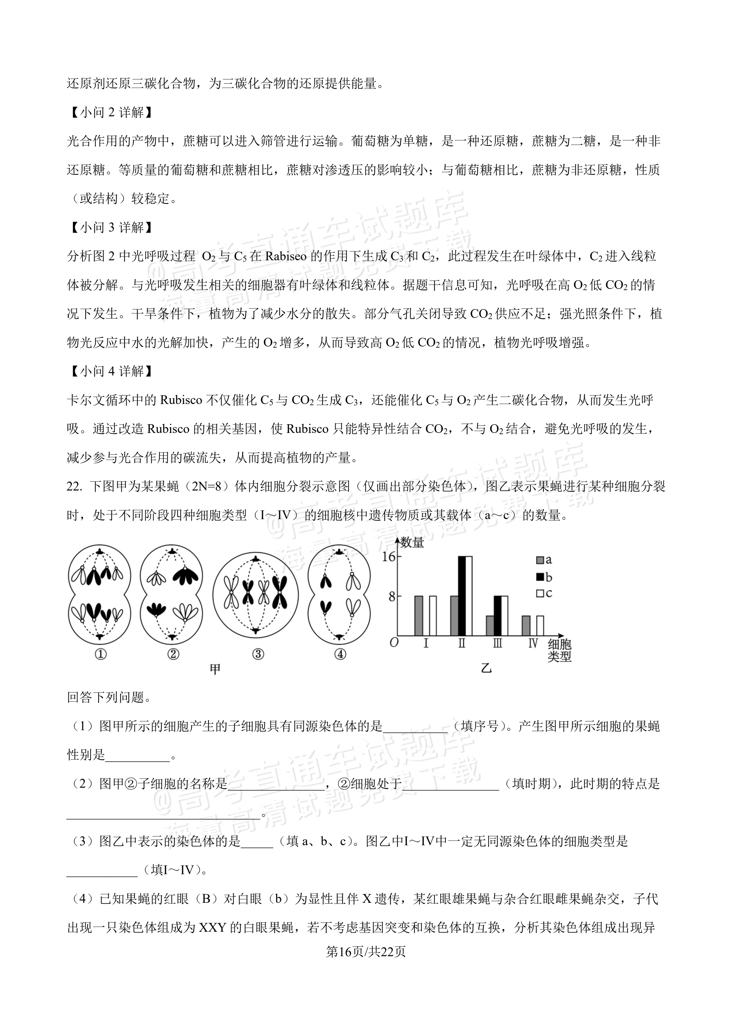 2027吉林长春第二中学高三10月调研测试生物参考答案 答案 第16页