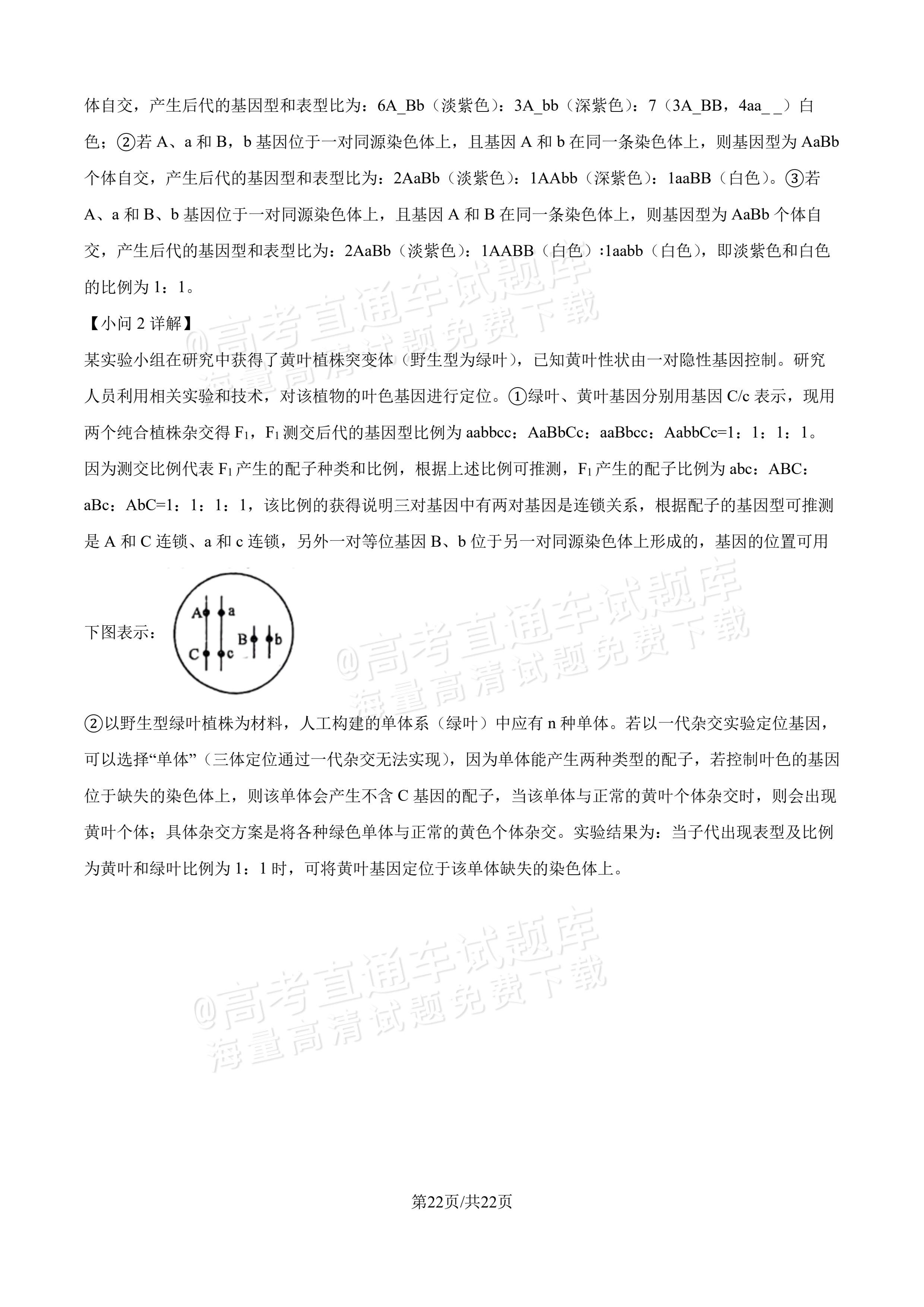 2027吉林长春第二中学高三10月调研测试生物参考答案 答案 第22页