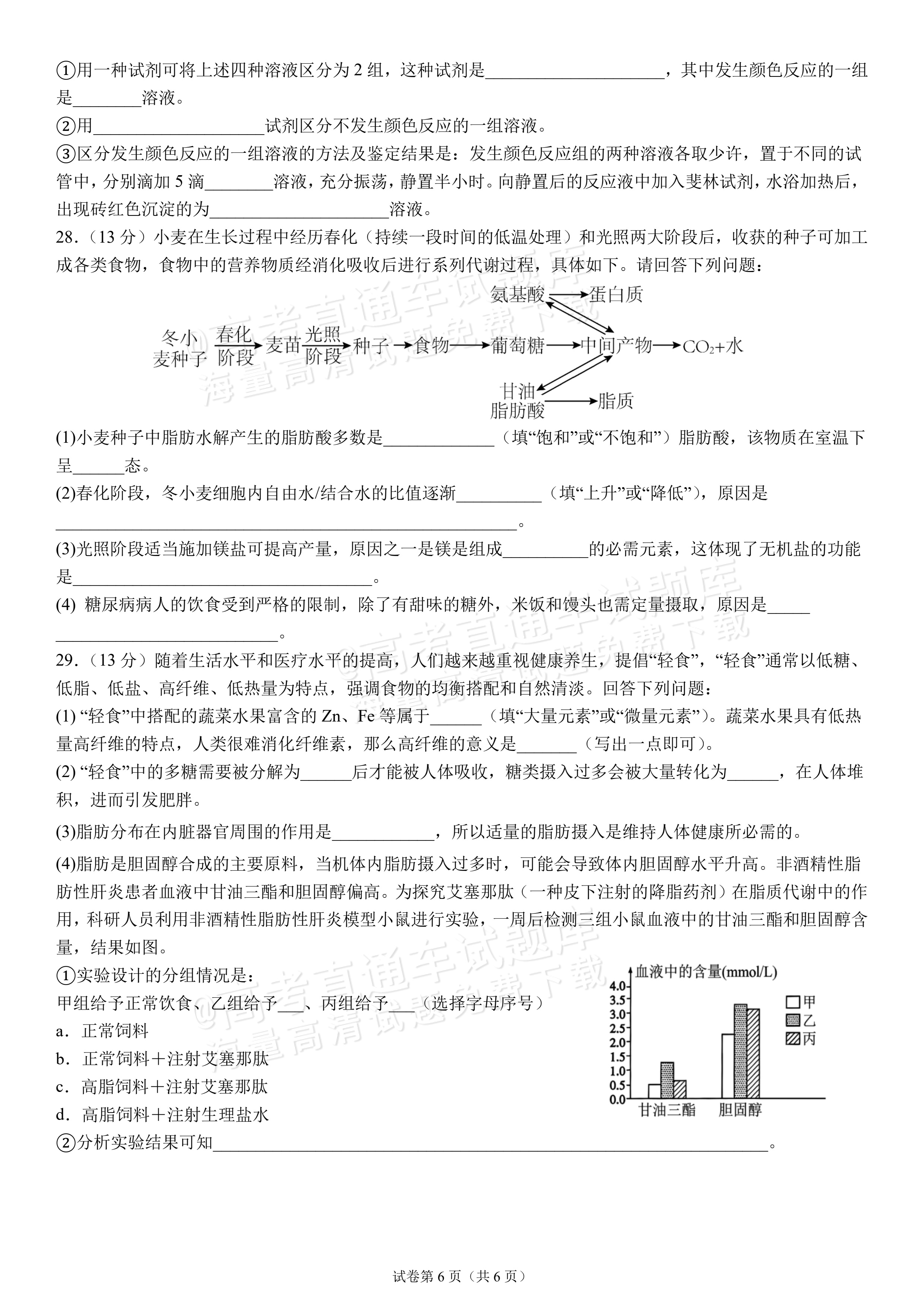 2027四川成都外国语学校高一10月月考生物试题及参考答案 第6页