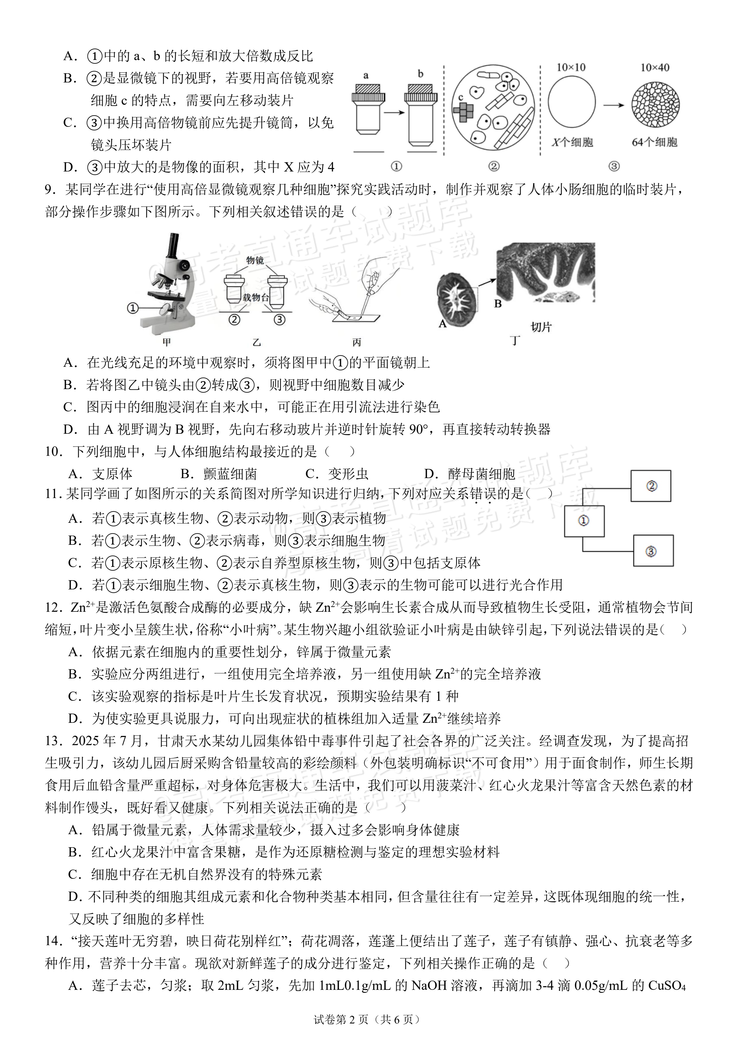 2027四川成都外国语学校高一10月月考生物试题及参考答案 第2页